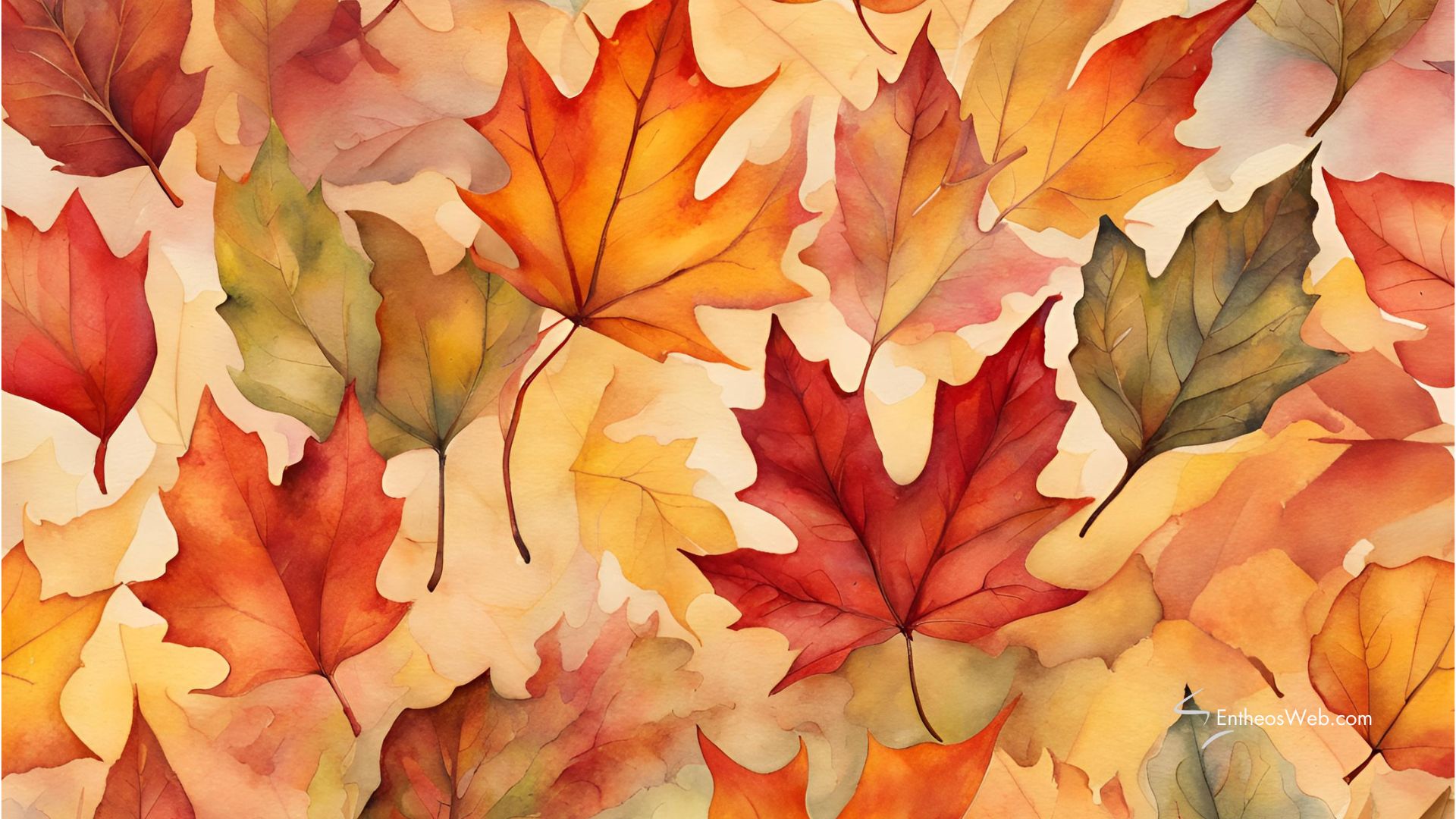 Autumn and Fall Desktop Wallpaper Background