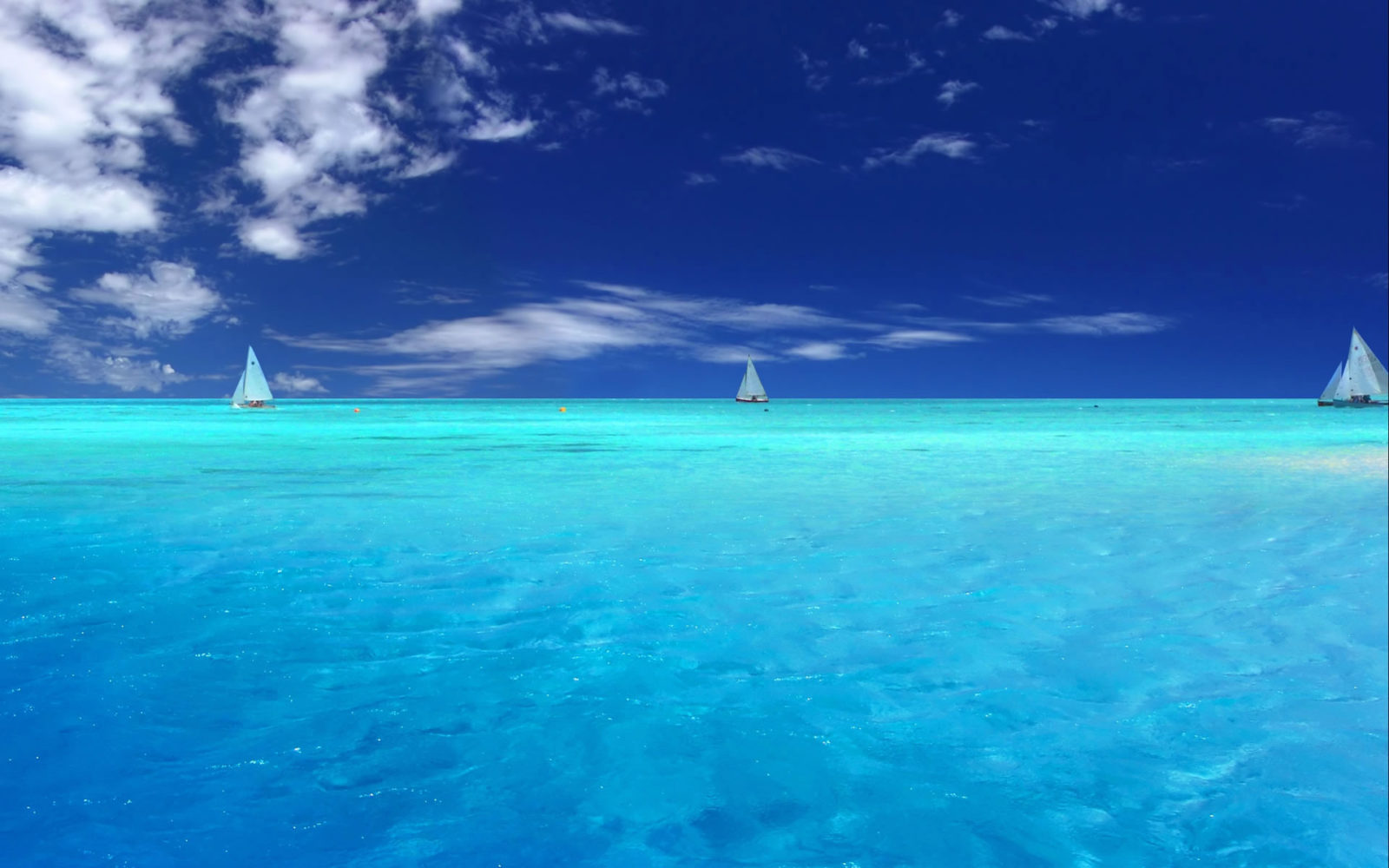 Beach Wallpaper Examples To Put On