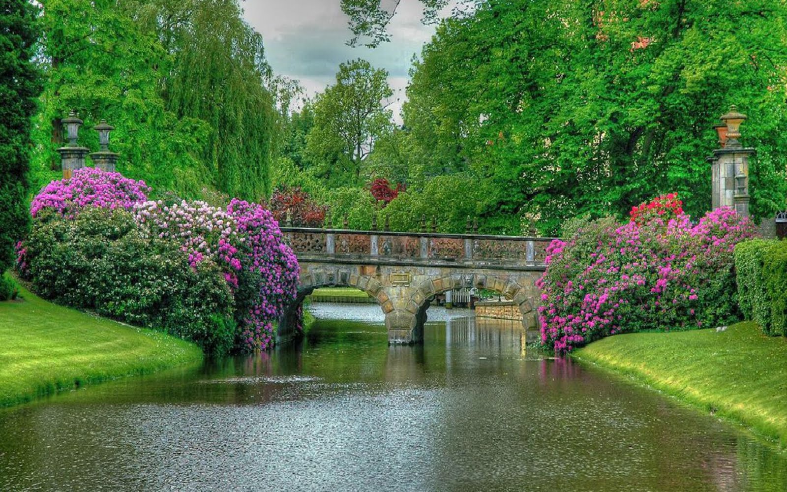 Garden Tree Pond Spring Bush Flower