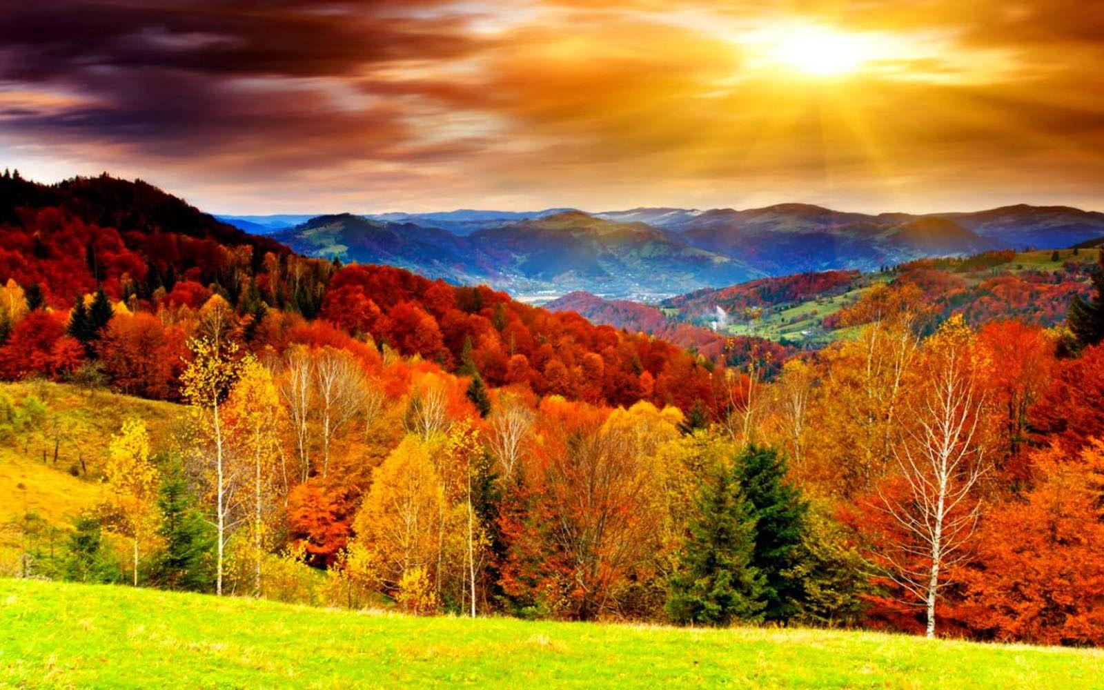 Fall Scenes Wallpaper Free