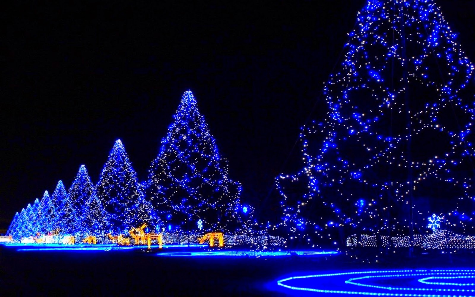 LED Lights Trees Wallpaper