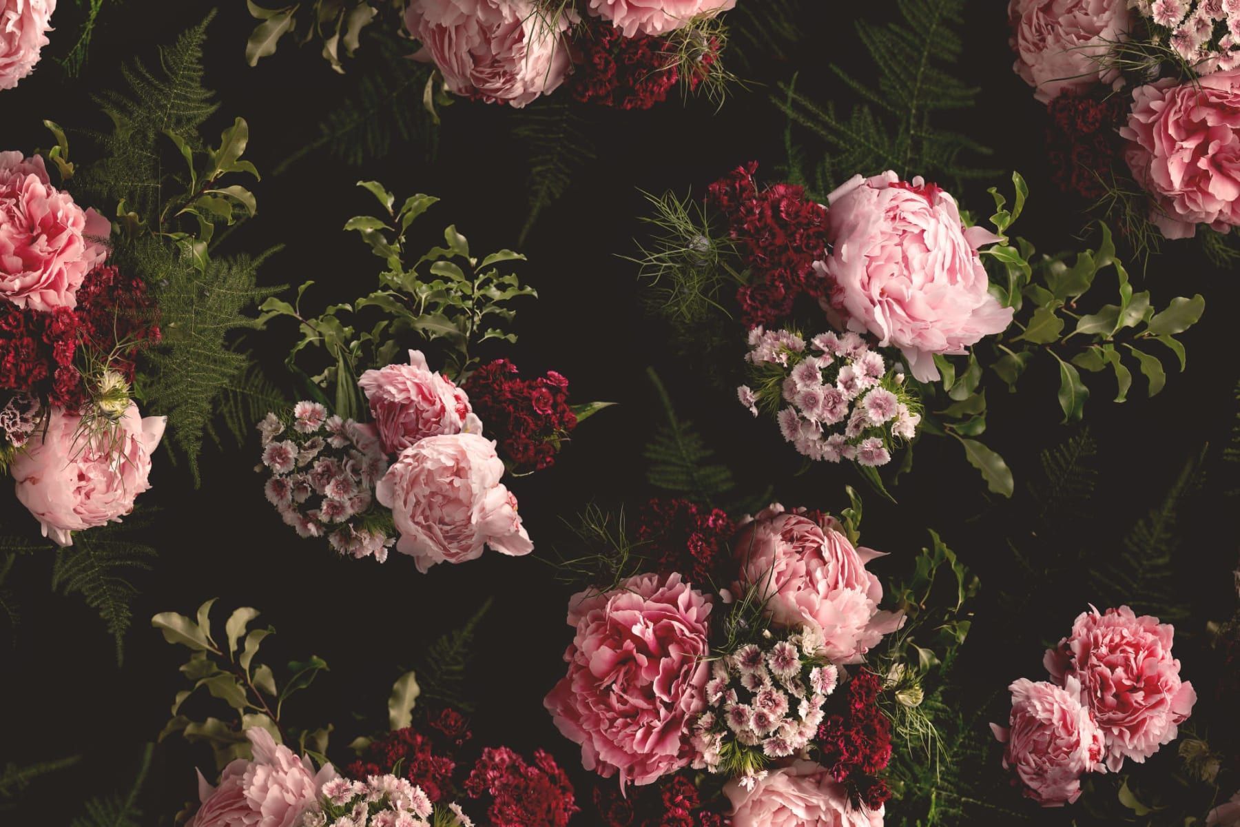 Pink & Black Dark Moody Floral Pattern