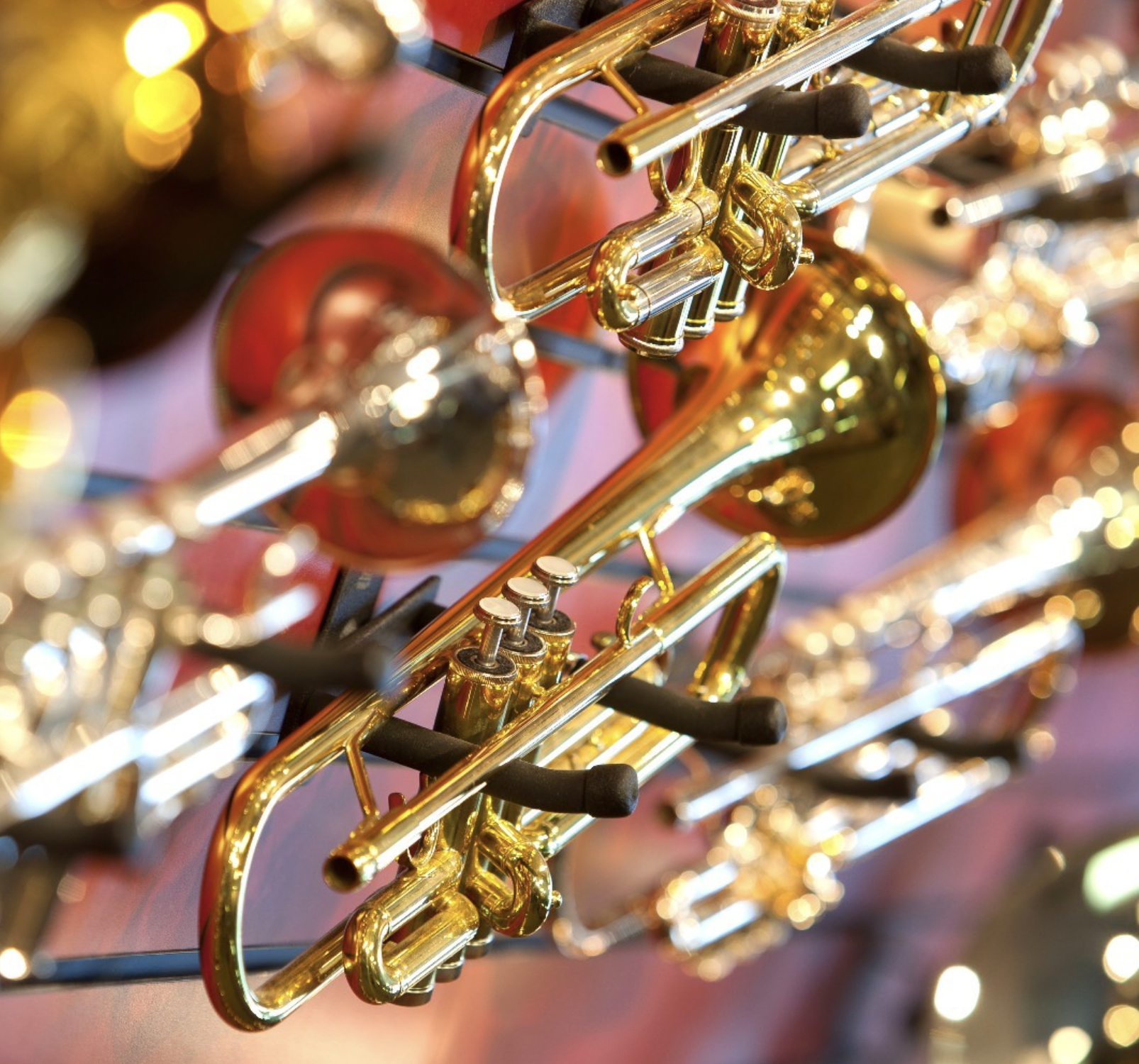 Brass & Wind Musical Instrument Storage