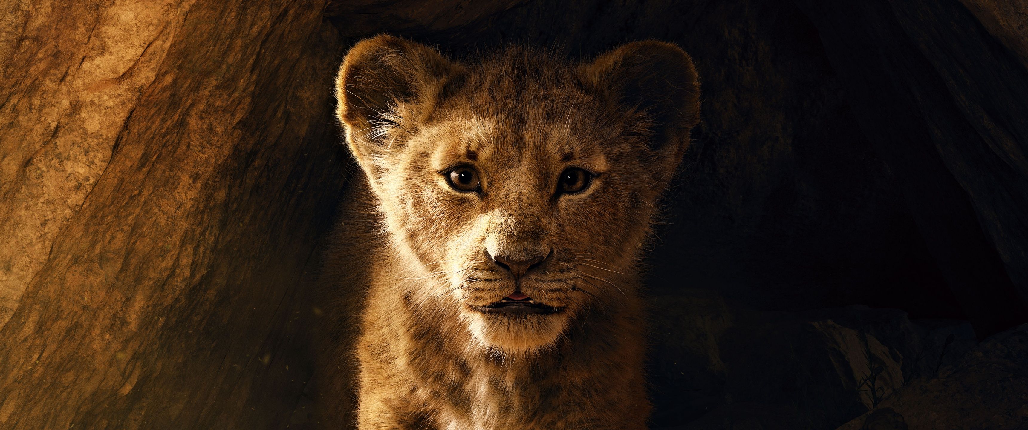 Simba Wallpaper 4K, The Lion King, Lion cub, 5K
