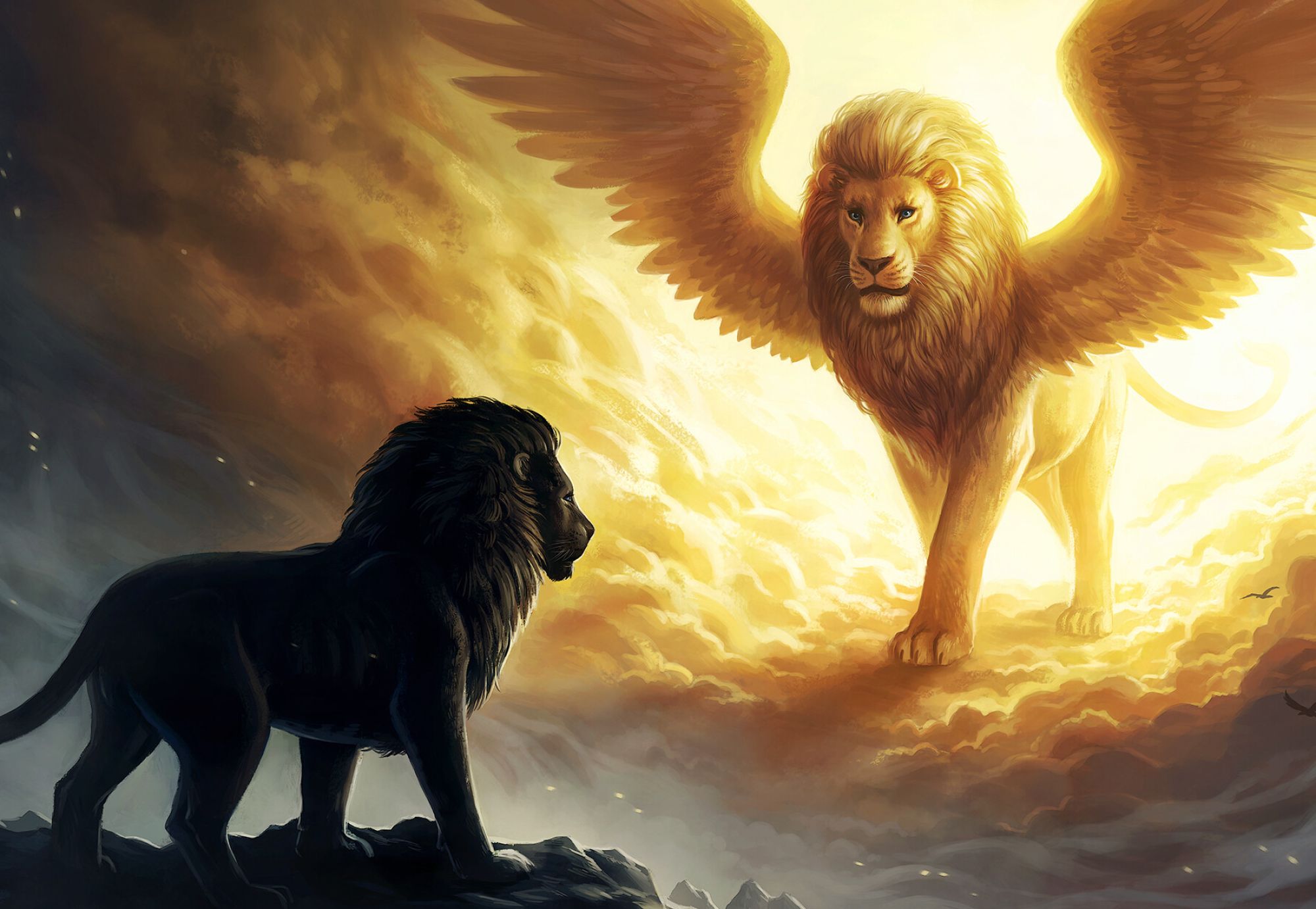 Lion Wallpaper