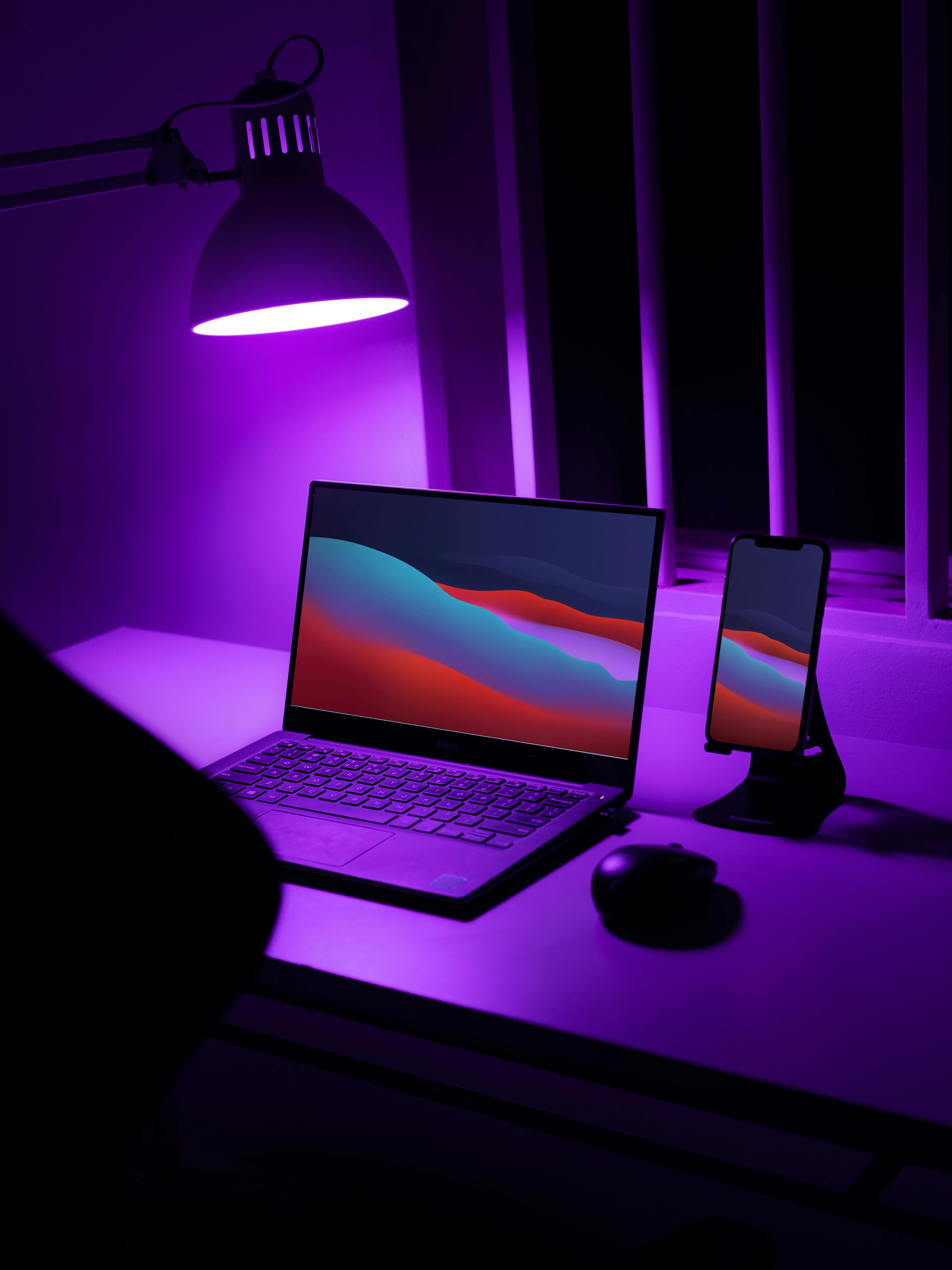 Purple Light Lamp · Free