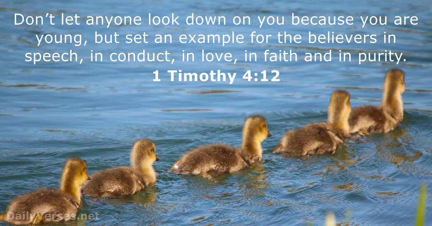 Timothy 4:12 verse
