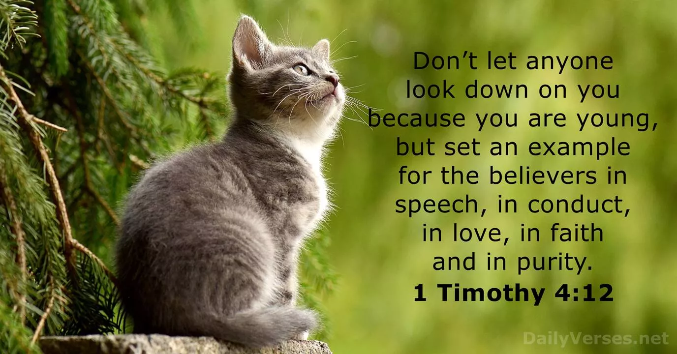 Timothy 4:12 verse