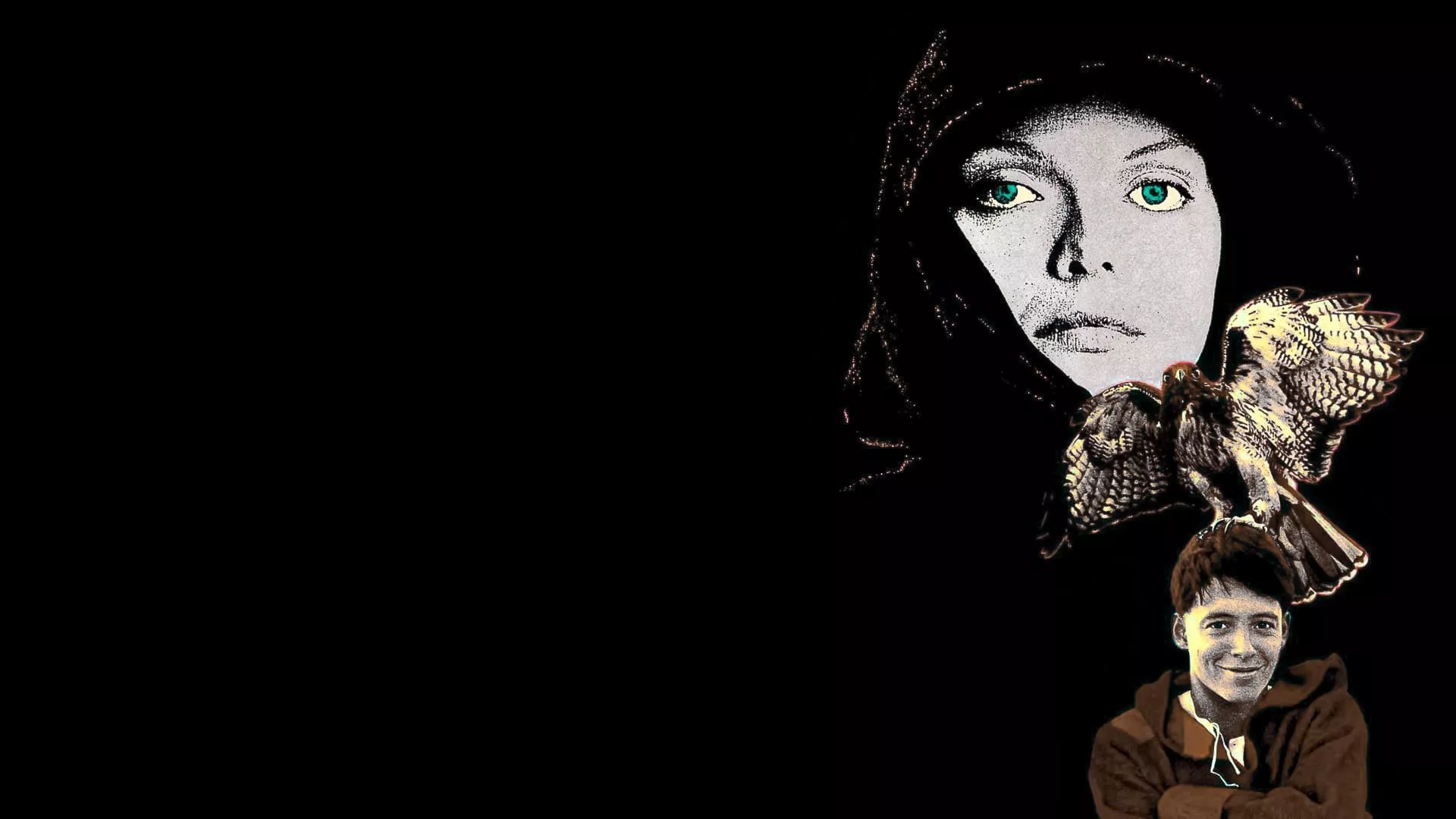 Ladyhawke —