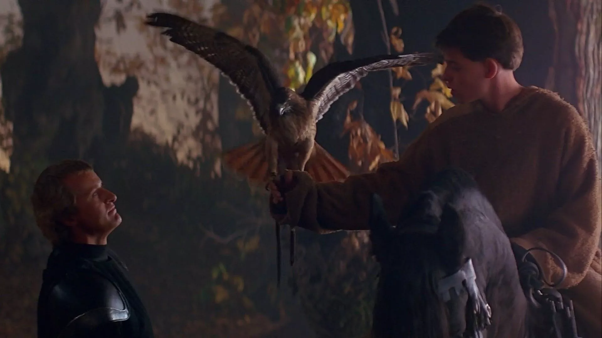 Ladyhawke —