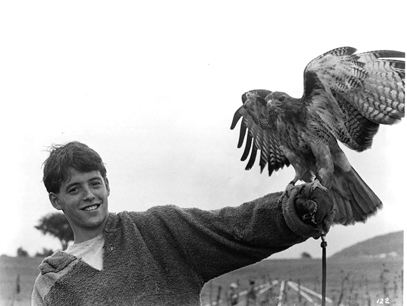 Ladyhawke