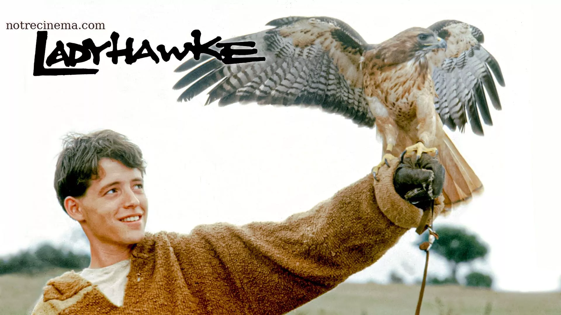 Ladyhawke