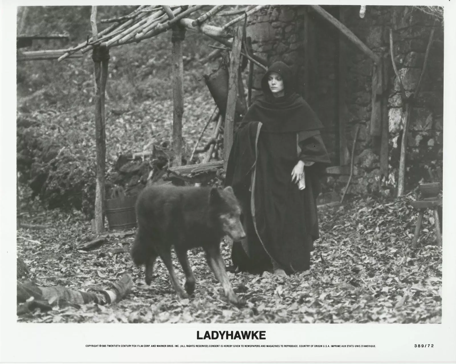 Ladyhawke' A Deep Dive