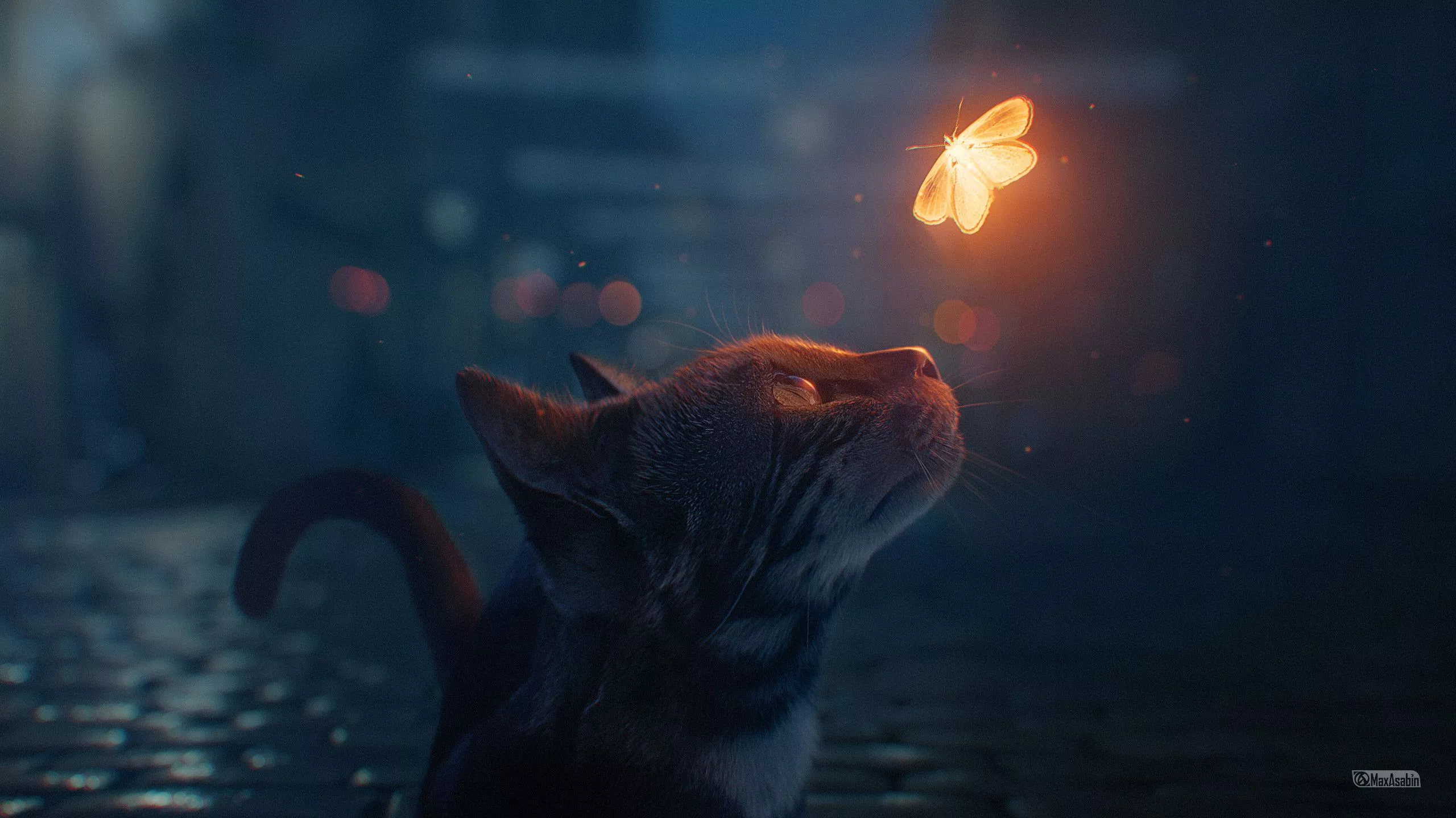 The cat and the butterfly 2560x1440