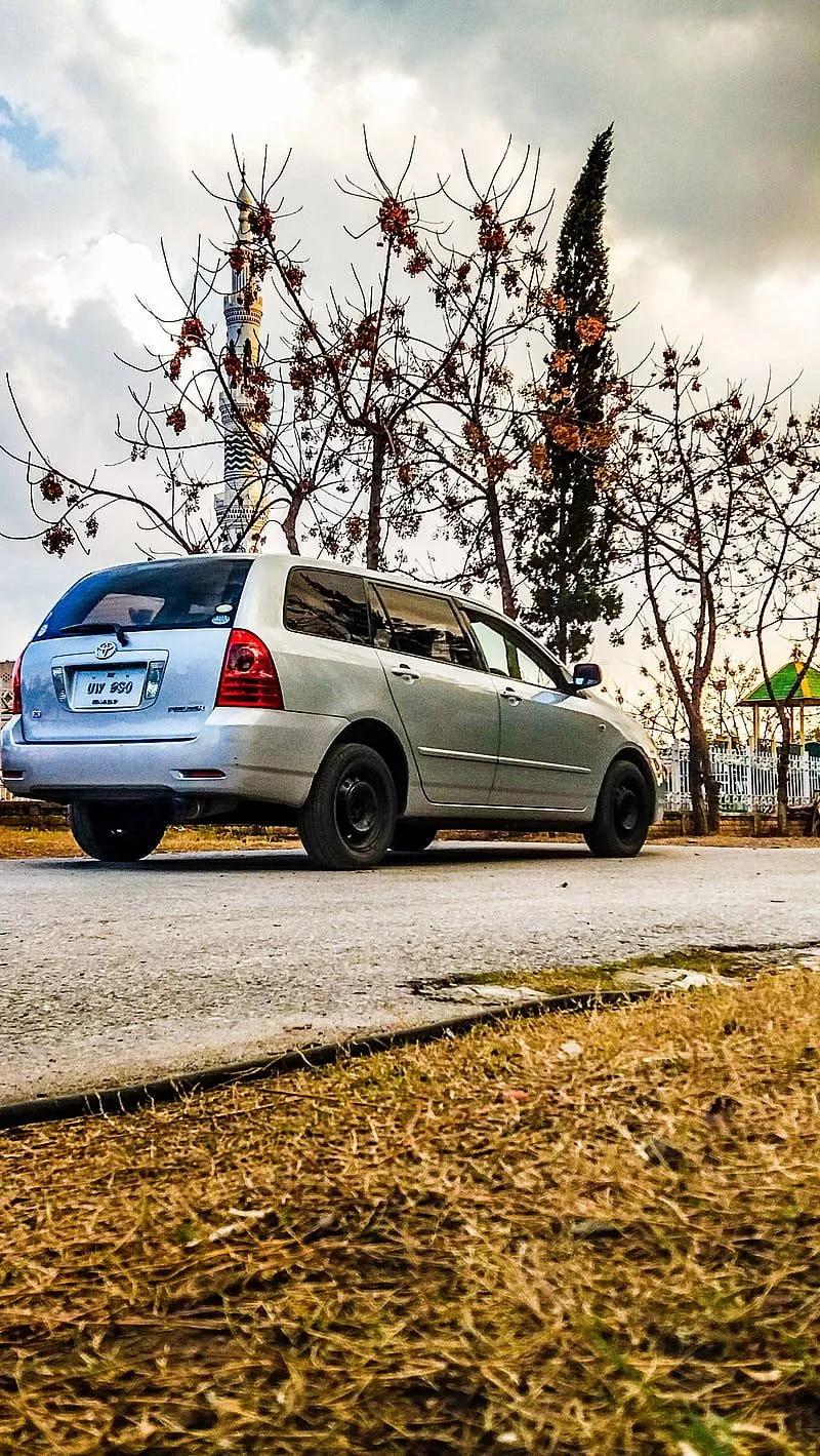 HD fielder wallpaper