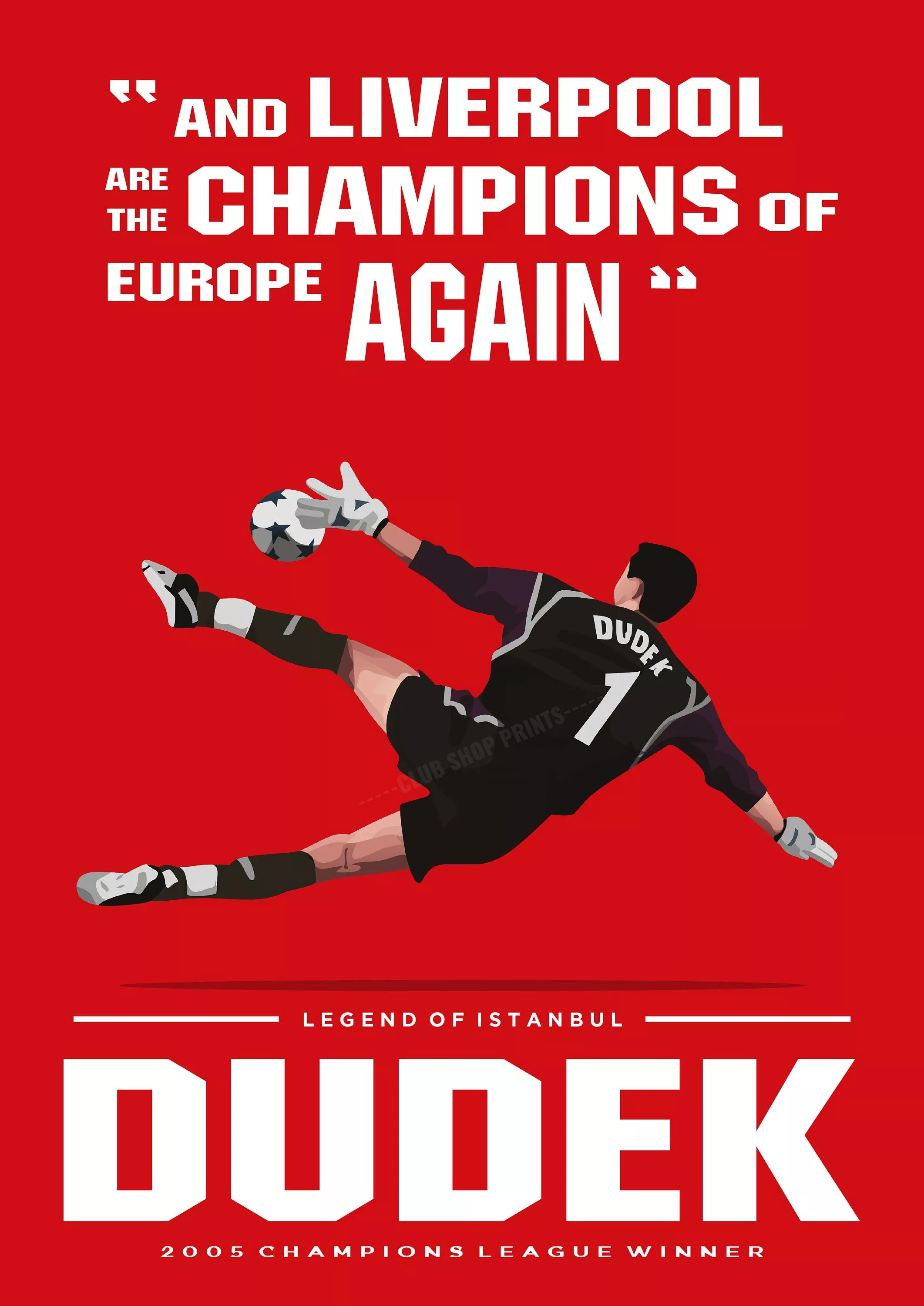 Jerzy Dudek Liverpool Champions League