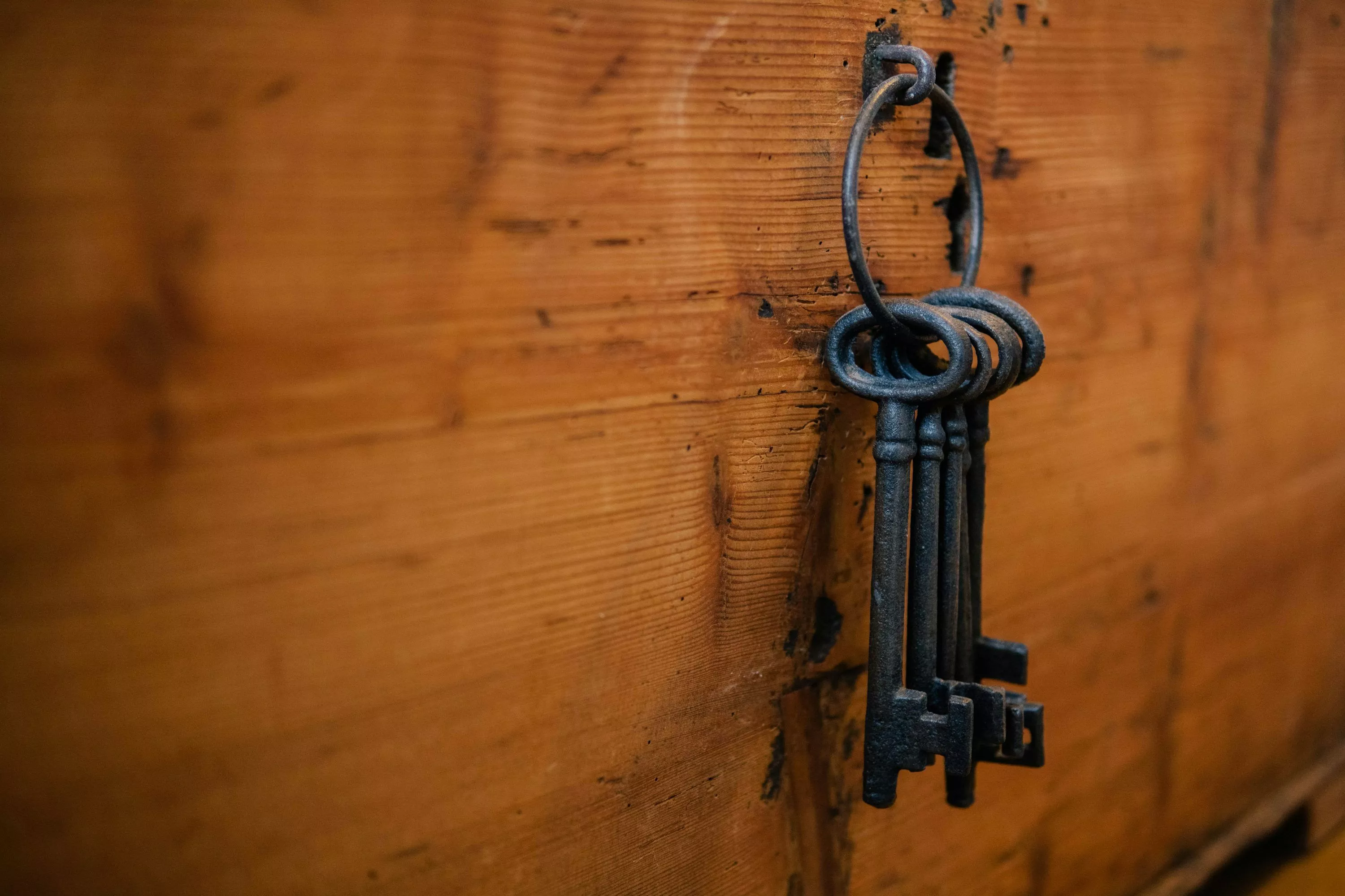 Skeleton Key Picture. Download Free