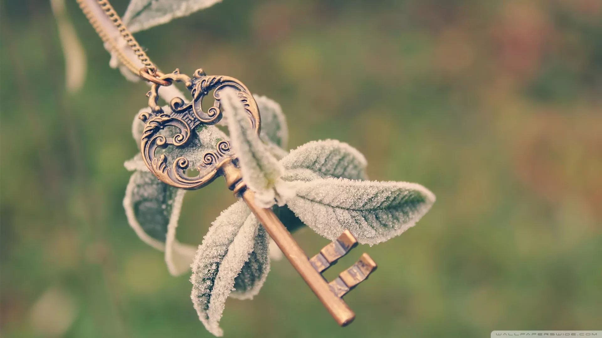 Skeleton Key Ultra HD Wallpaper for 4K