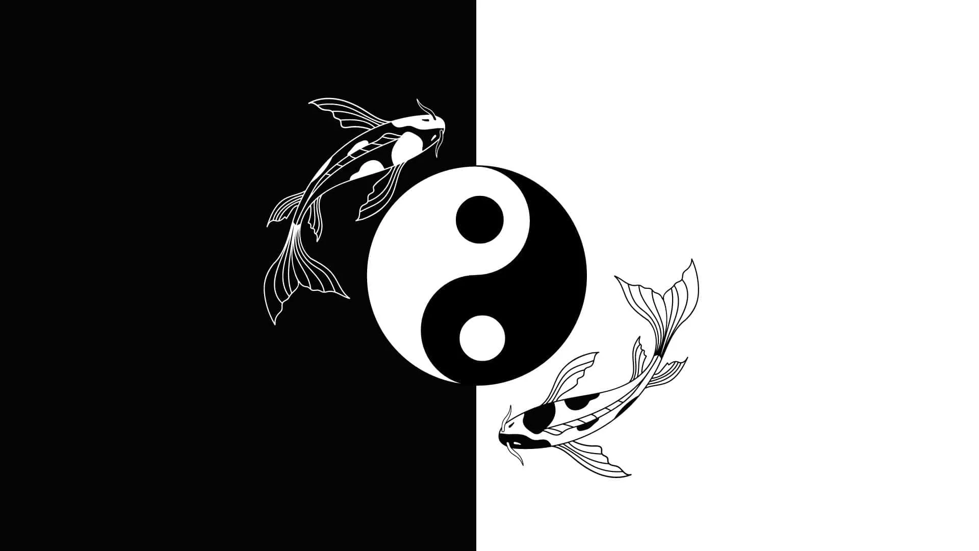 Yin Yang Fish Wallpaper