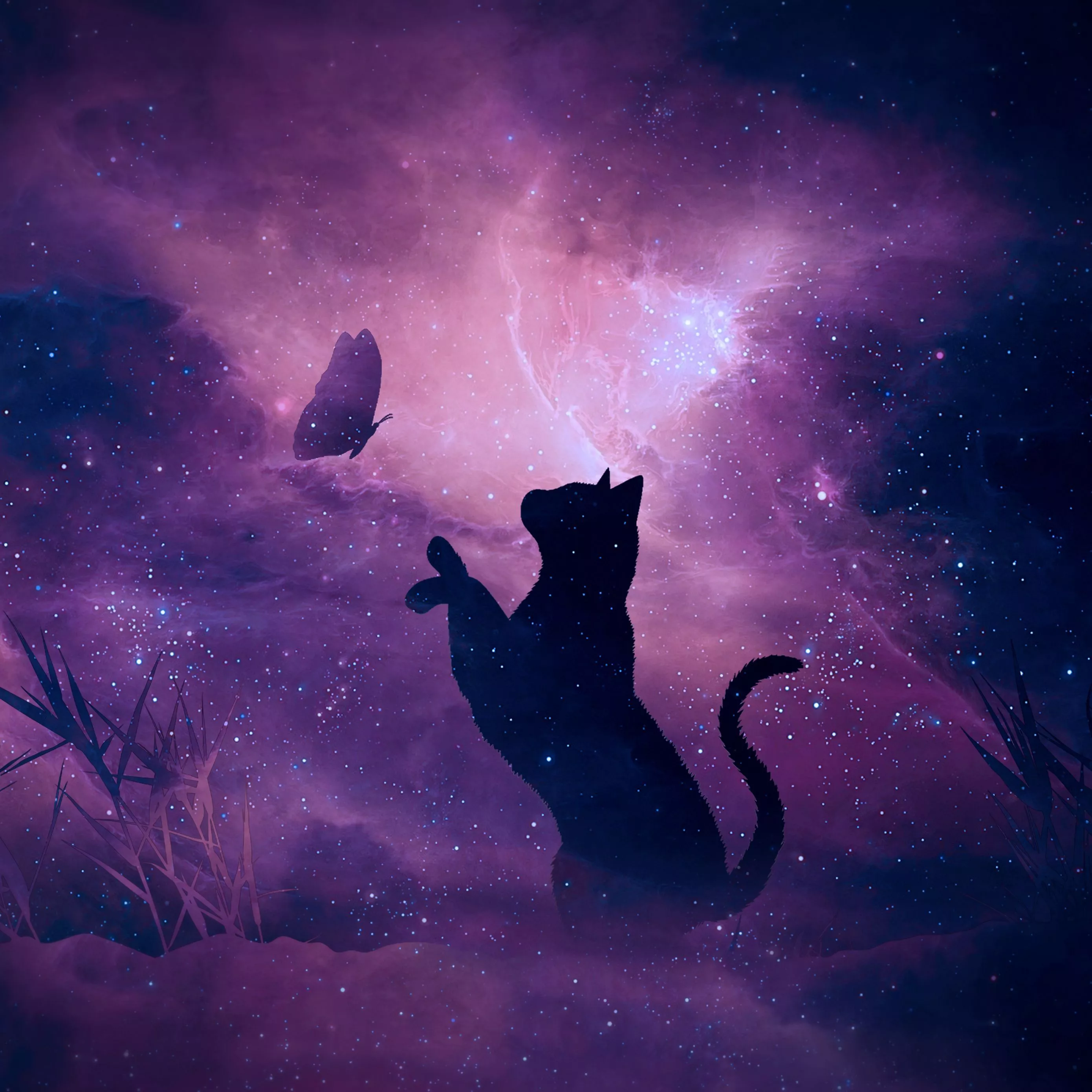 Download wallpaper 2780x2780 cat