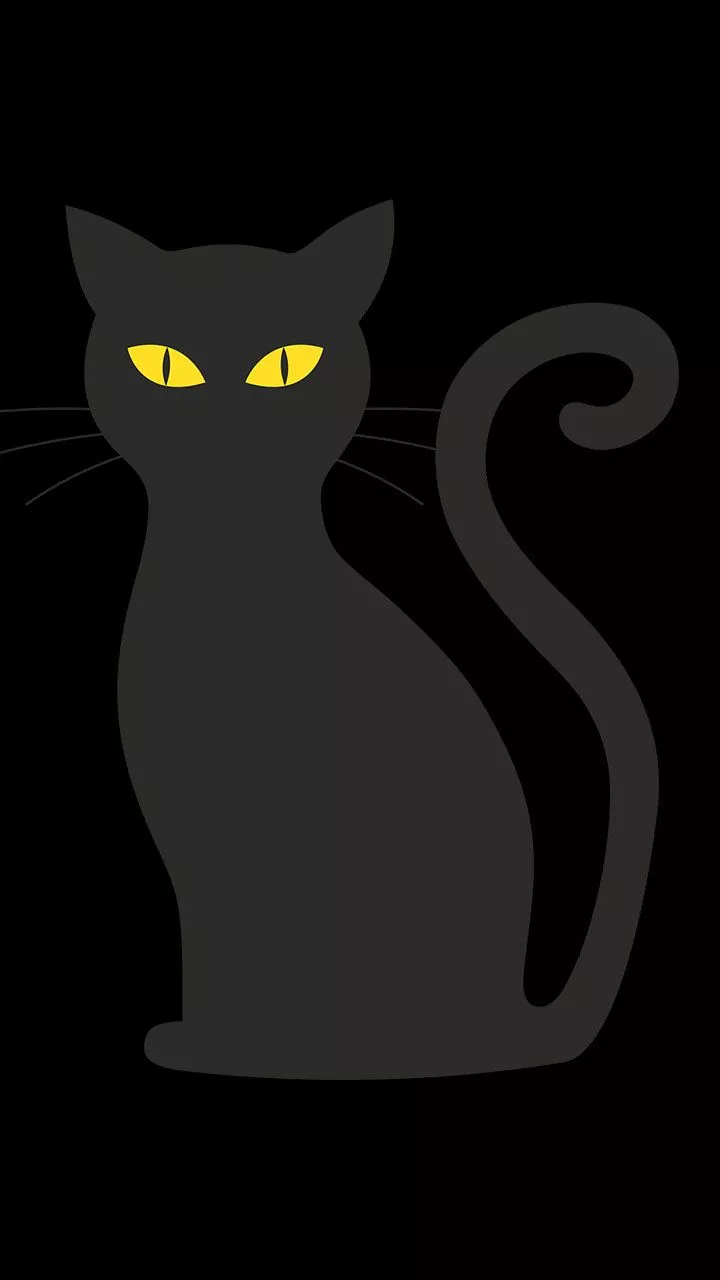 Cute kitty wallpaper on Amazon