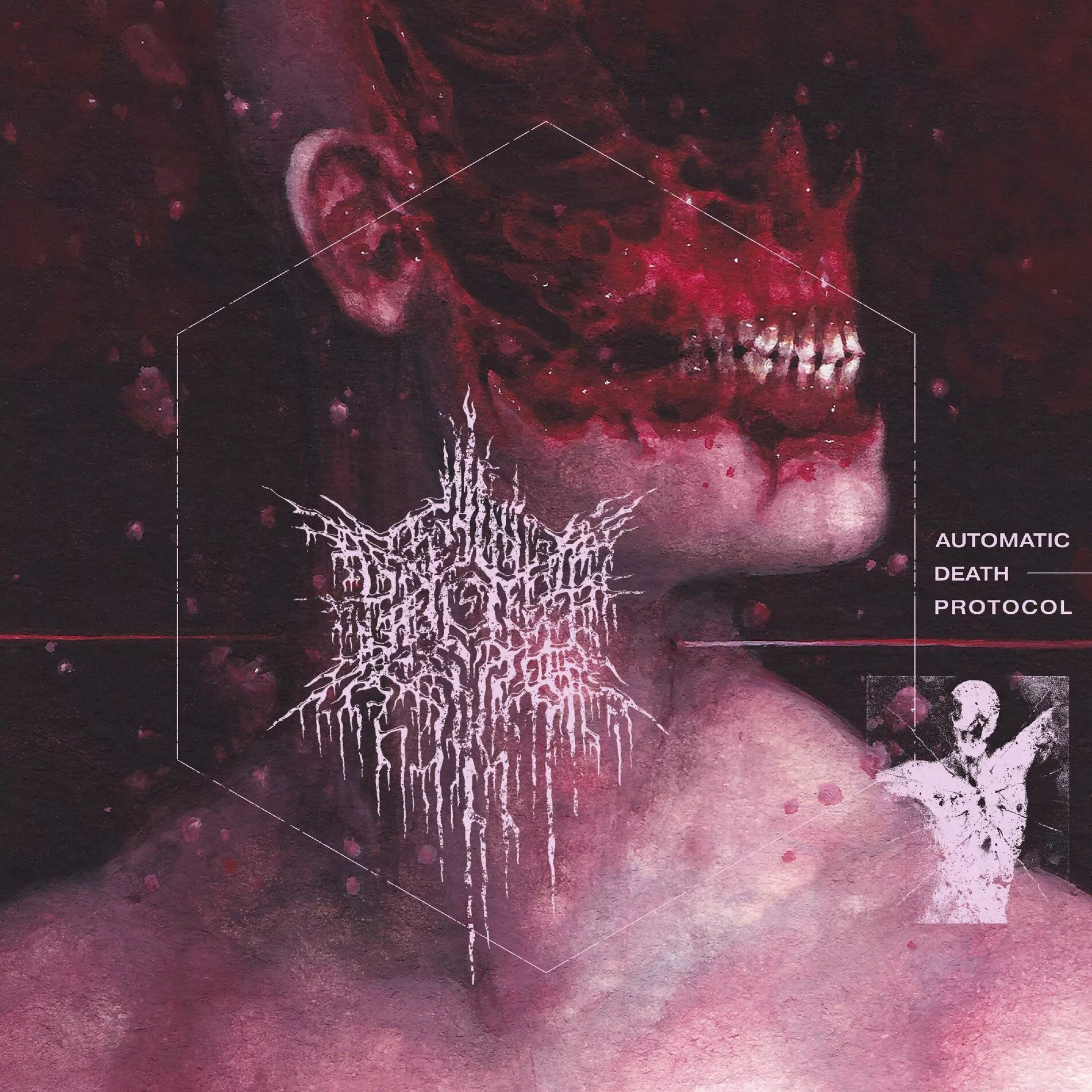 Waking the Cadaver: albums, songs