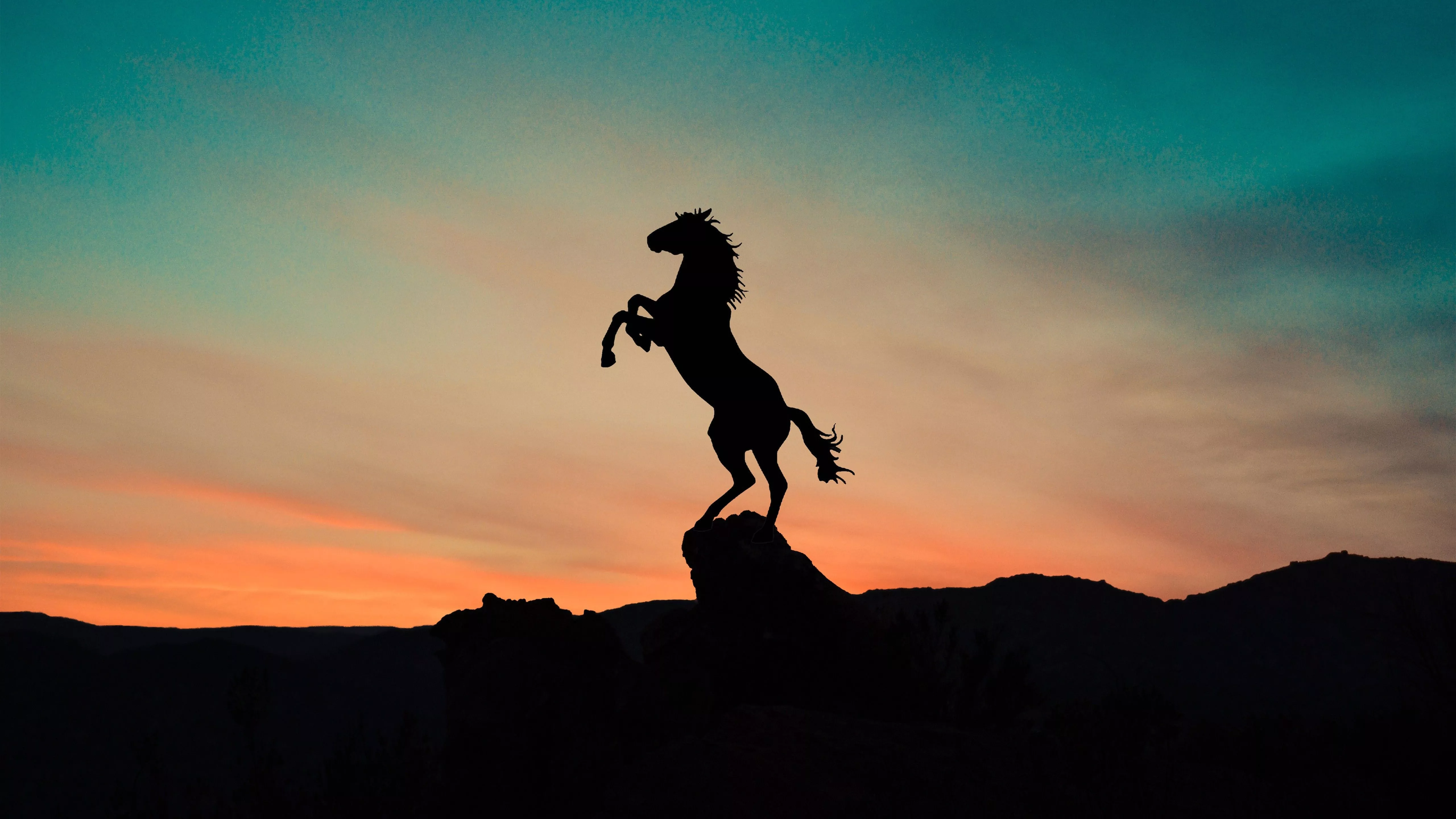 Horse Silhouette 5K Wallpaper. HD