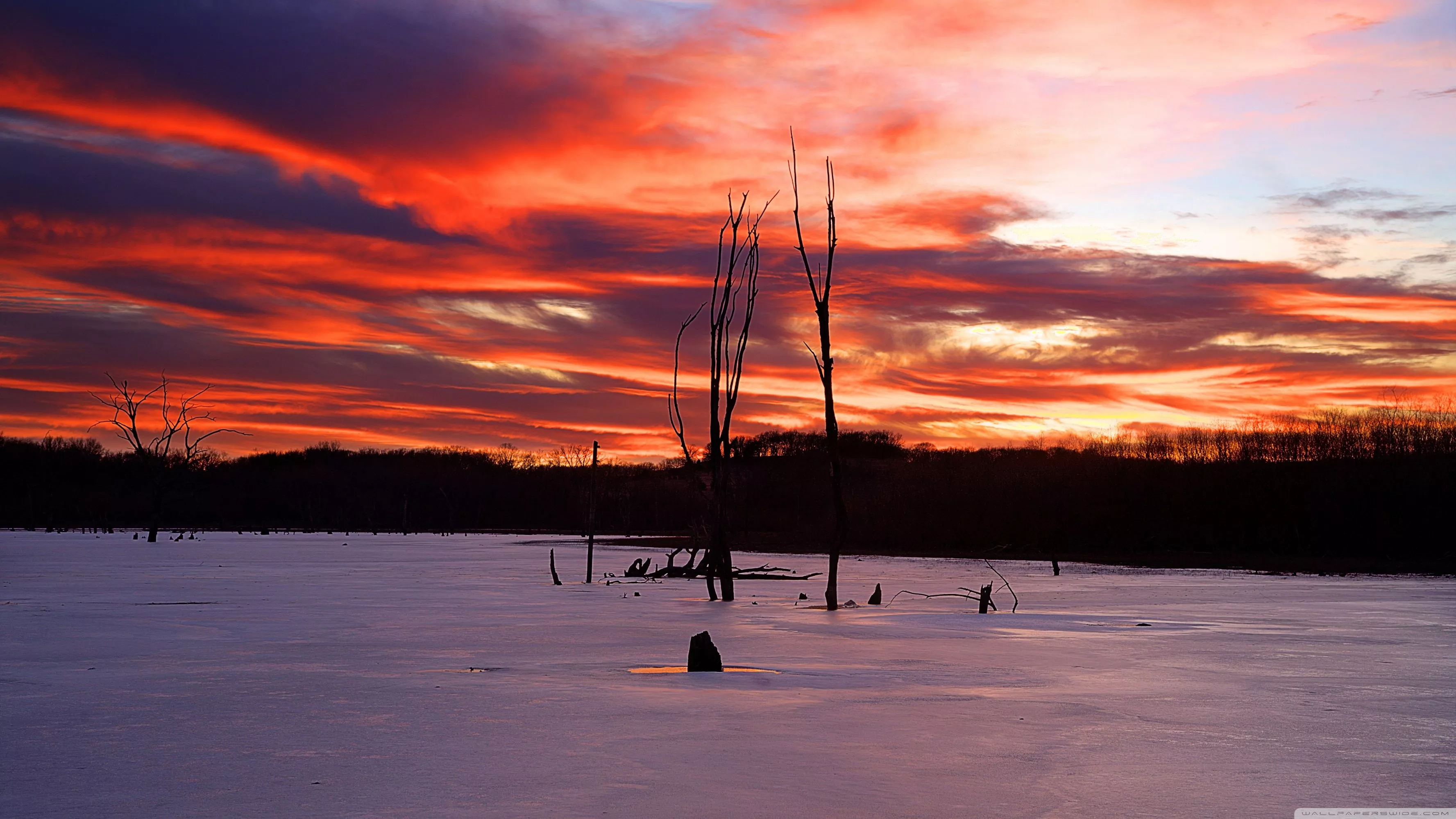 Cinematic Nature Ultra HD Wallpaper