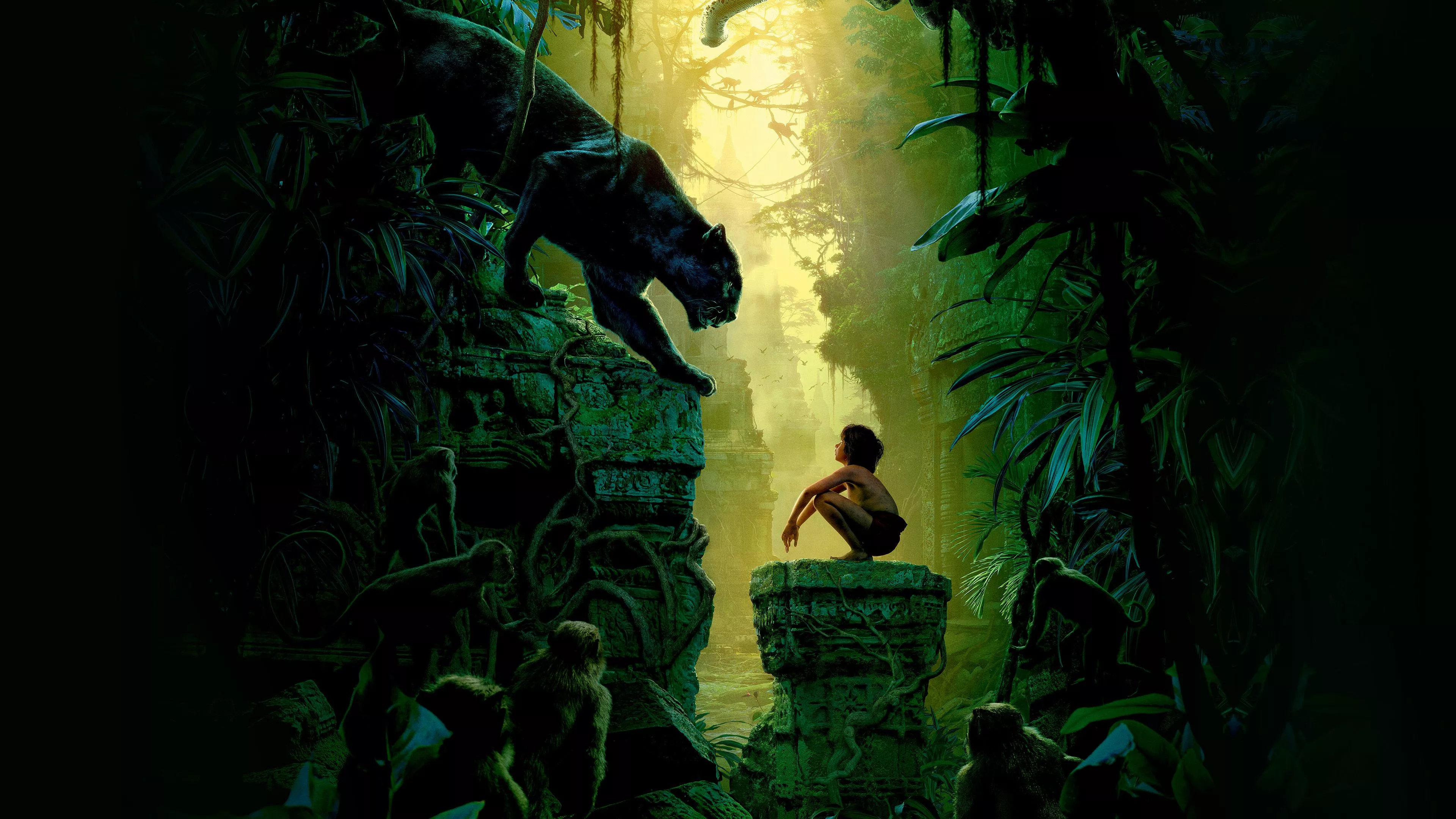Art Film Nature Junglebook Animal