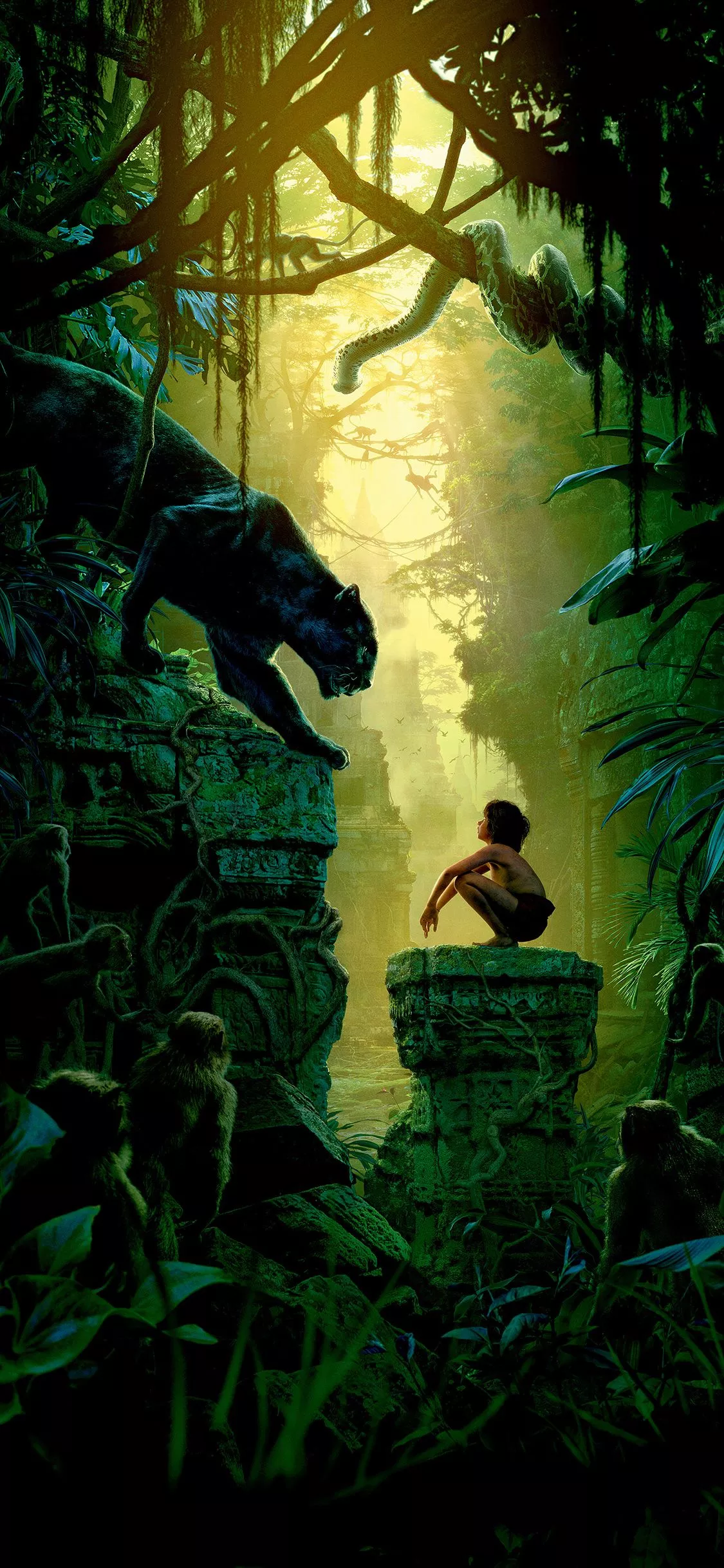 Art Film Nature Junglebook Animal