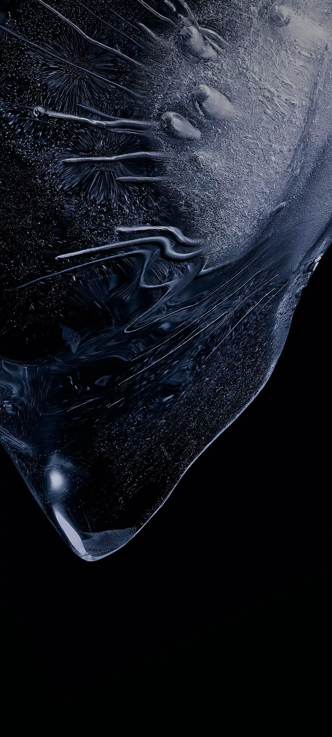 Wallpaper Xiaomi, MIUI 12, Android