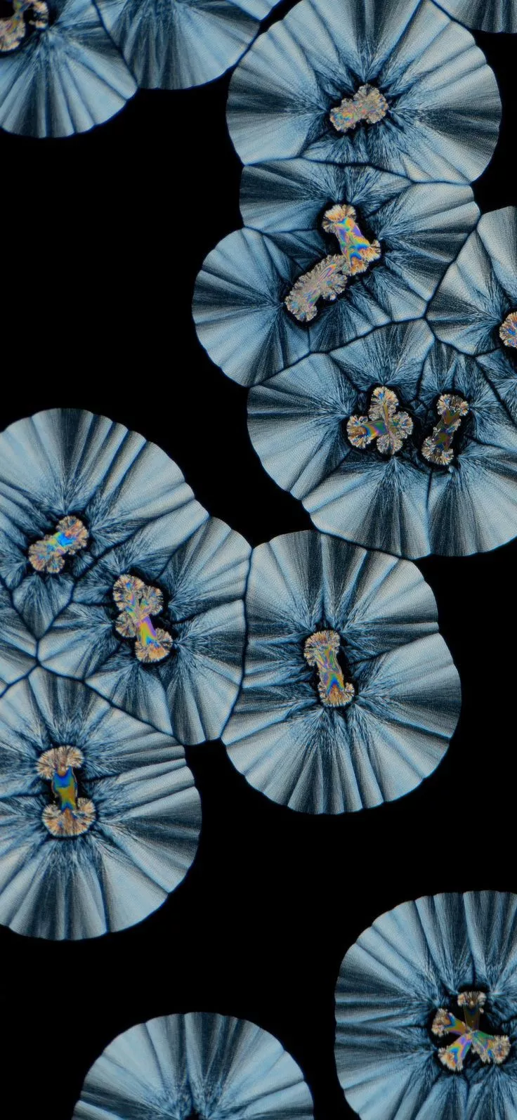 MIUI 13 Wallpaper (YTECHB Exclusive)