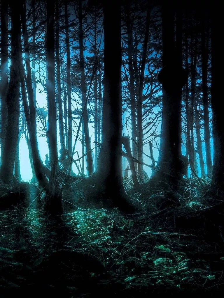 Download free Dark Mystery Forest