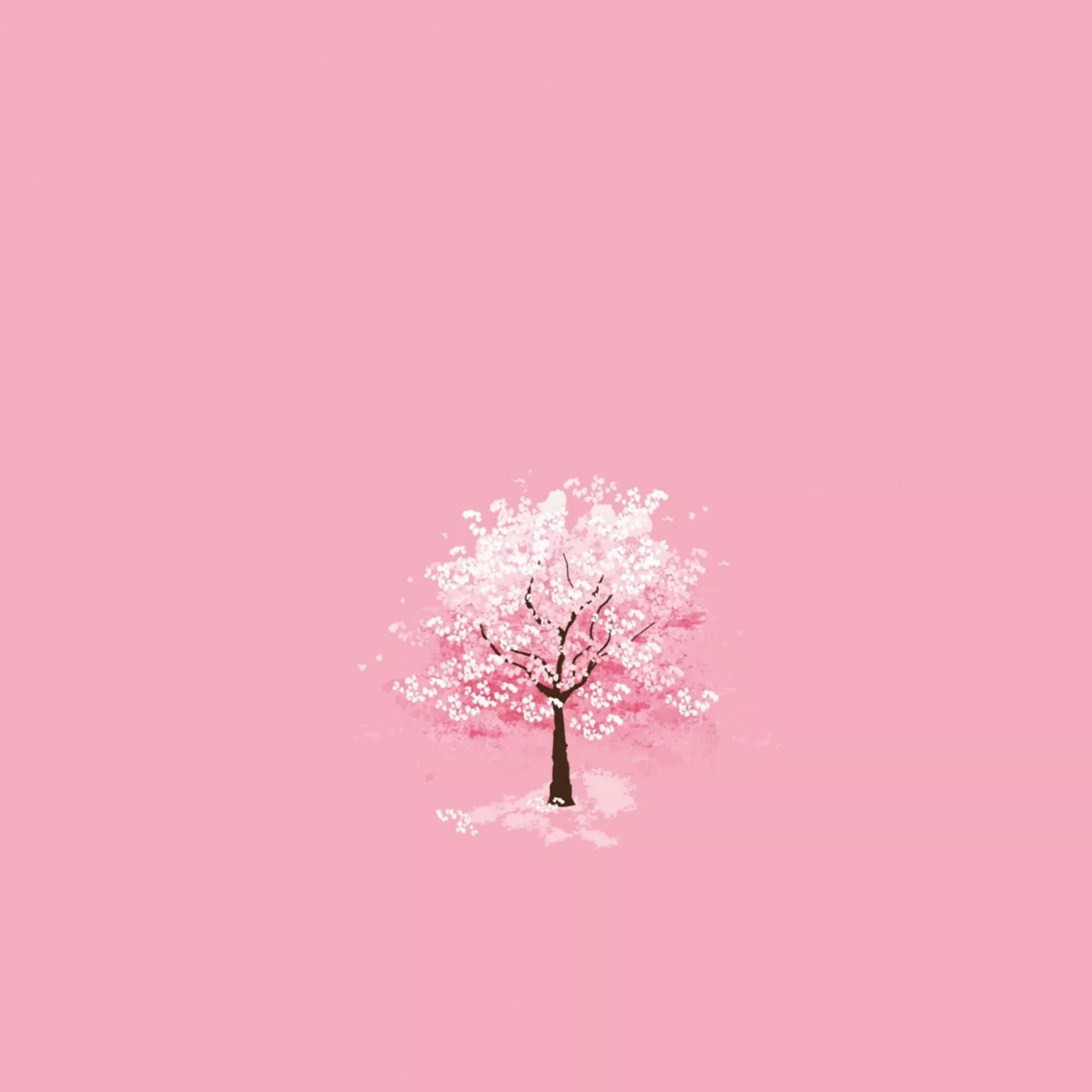 Pink Cherry Blossoms Tree Wallpaper