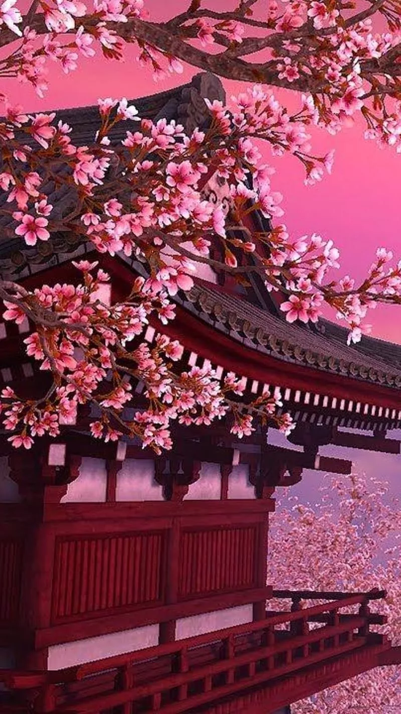 Japan House Background, pink flowers