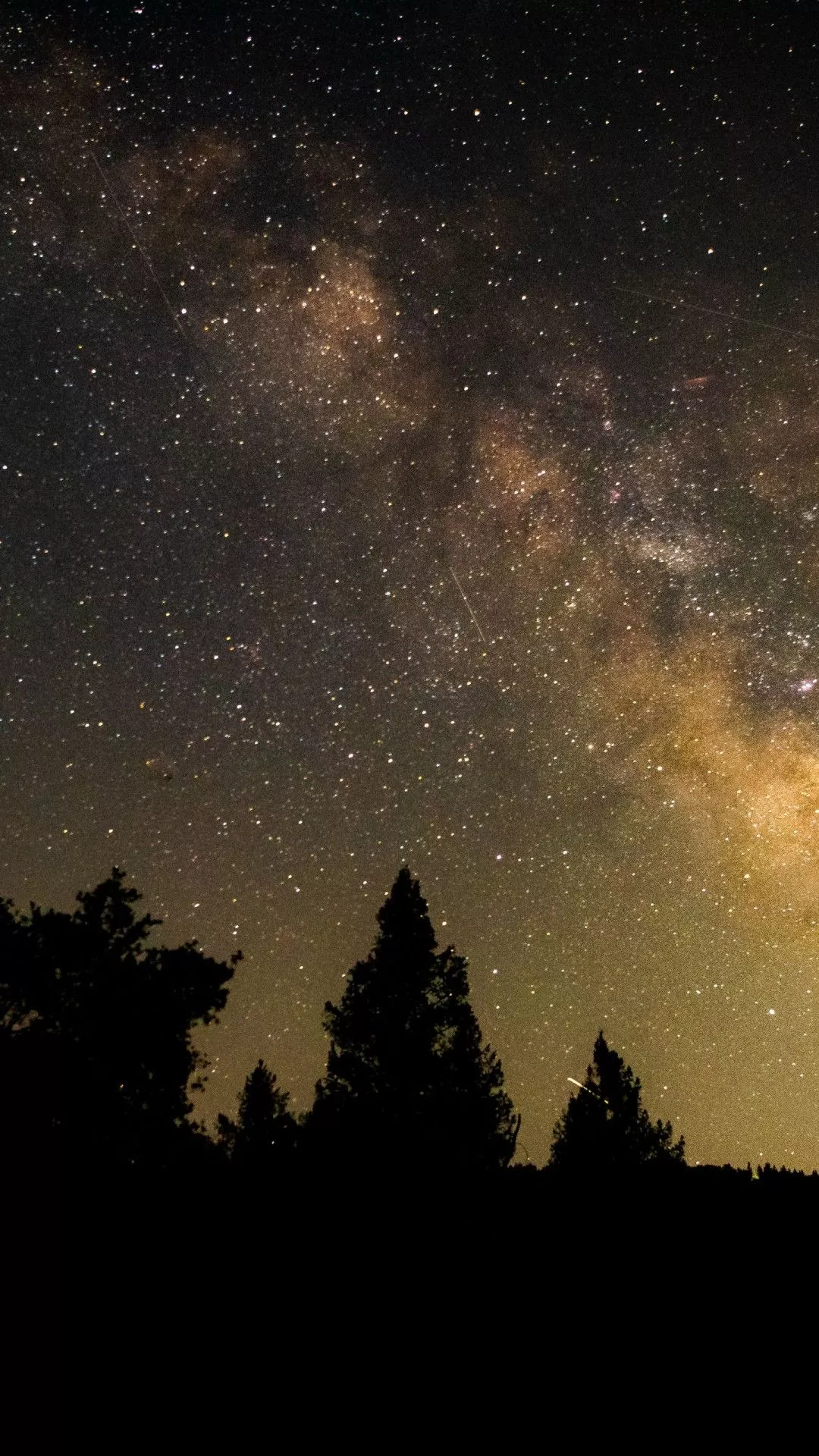 Trees Silhouette View Milky Way Starry