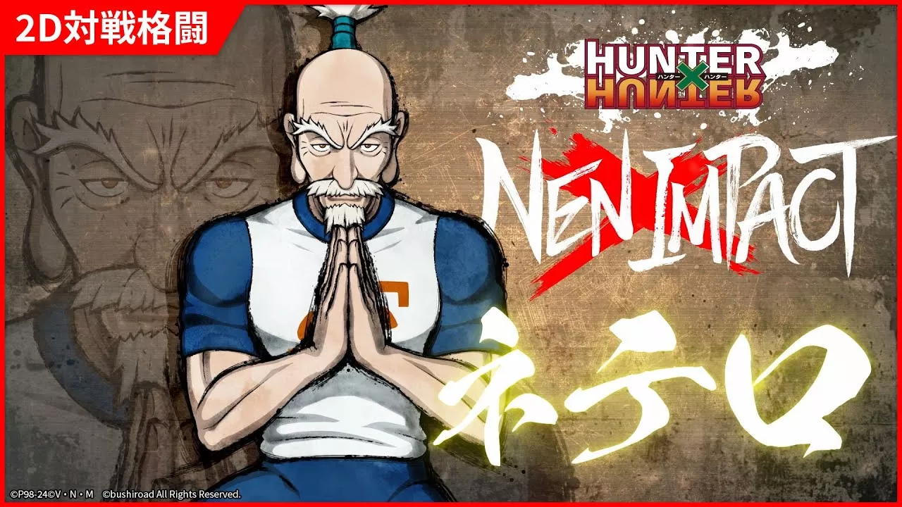 Hunter x Hunter Fighting Game Shares