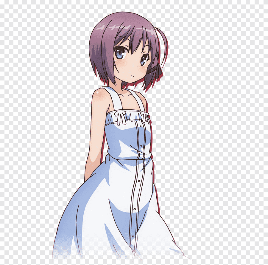 Invaders of the Rokujouma!? Anime