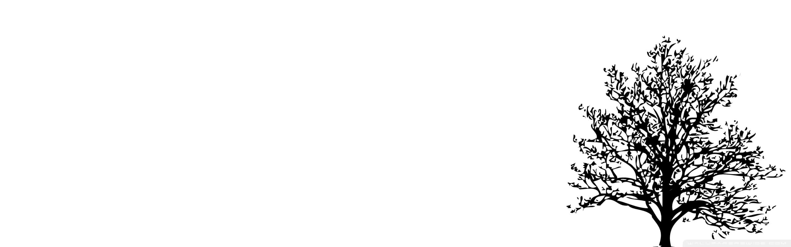 White Drawing Of A Tree Wallpaper