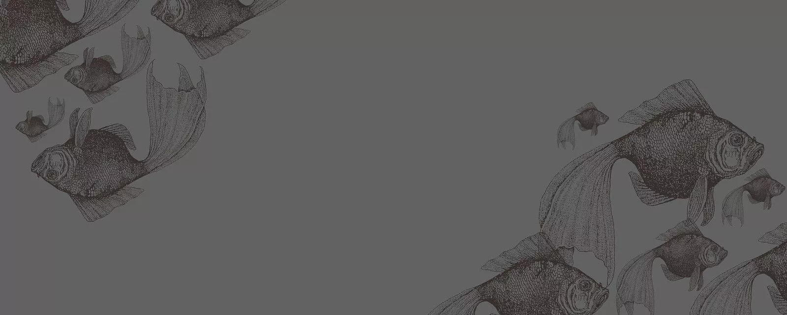 Fish. This is a dual monitor wallpaper