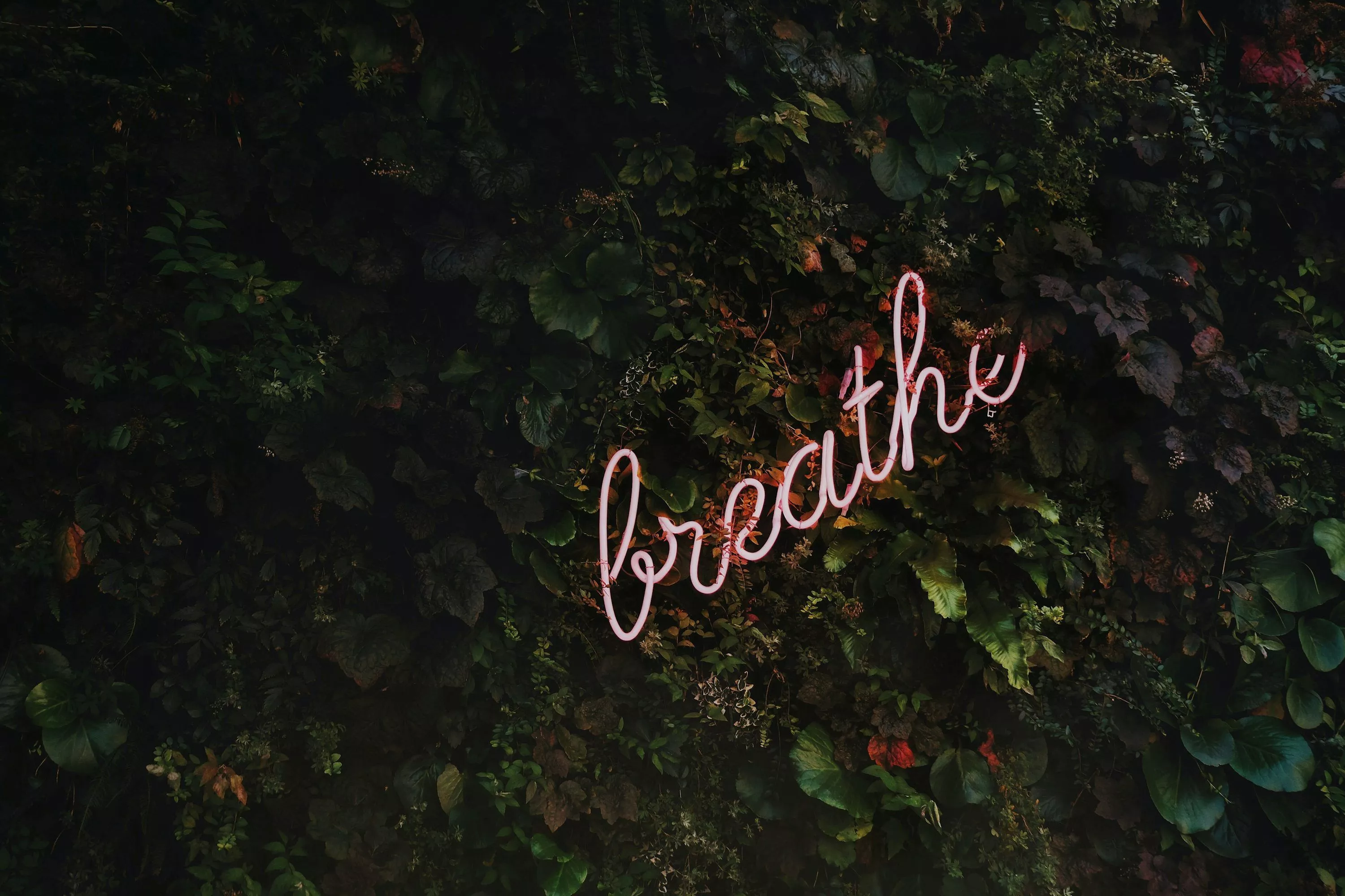 Breathe Picture [HD]. Download