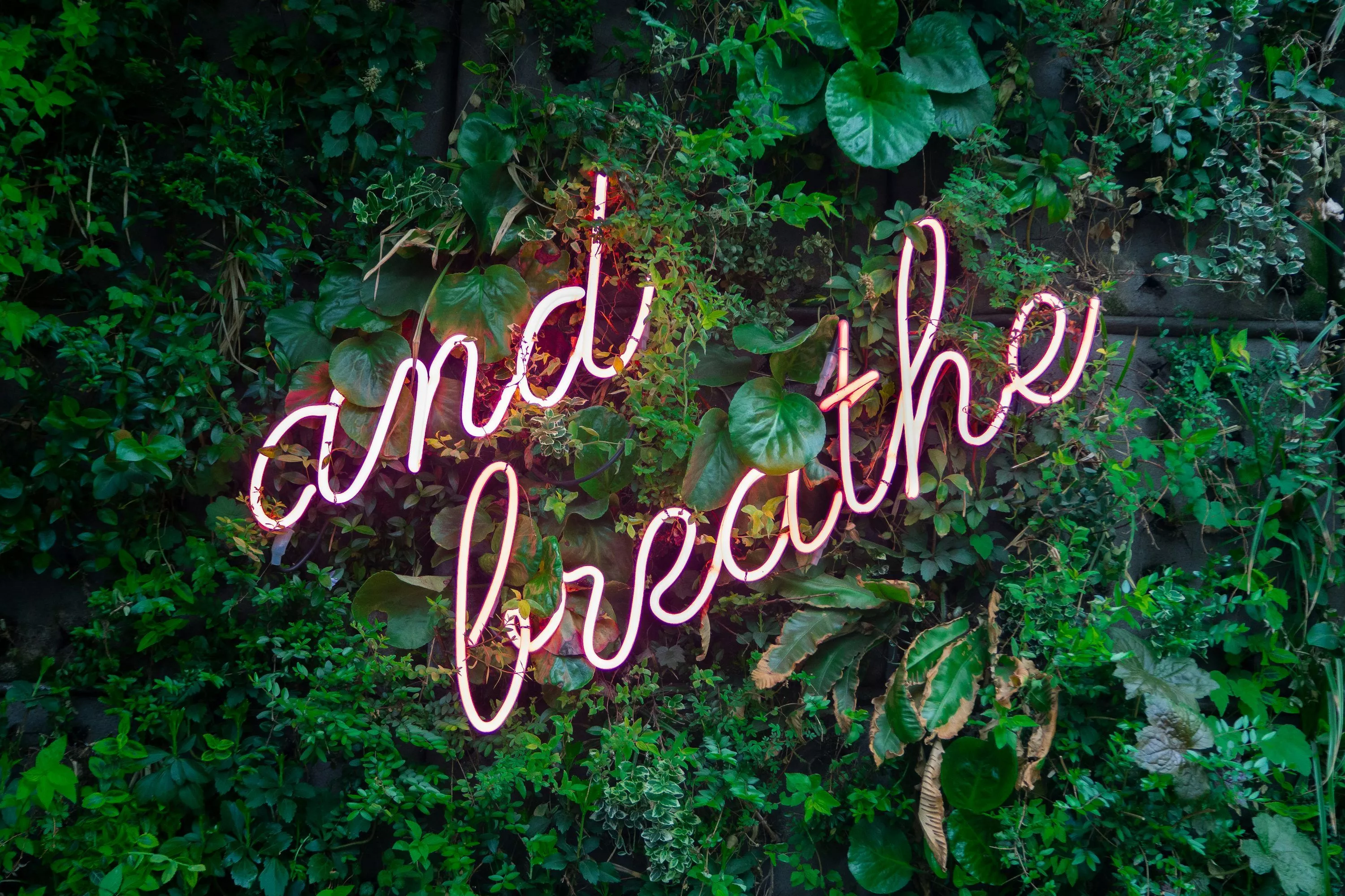 Breathe Picture [HD]. Download