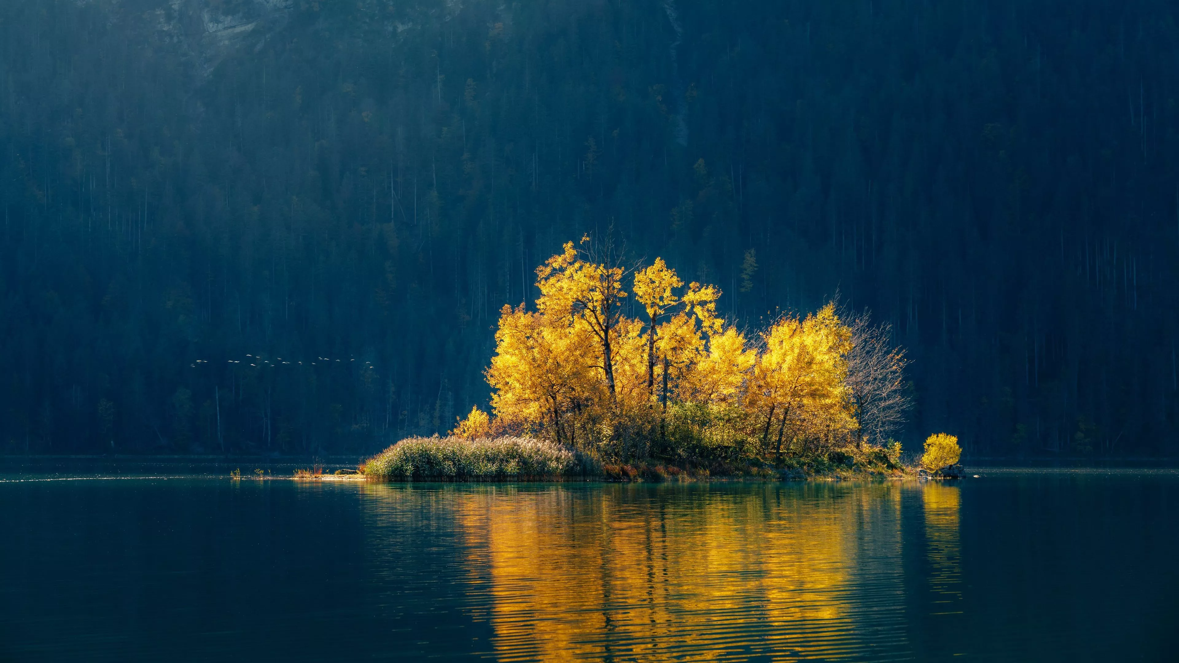 Landscape View Of Yellow Leaves Autumn Trees Grass Lake Forest Background Reflection On Water 4K HD Nature Wallpaper