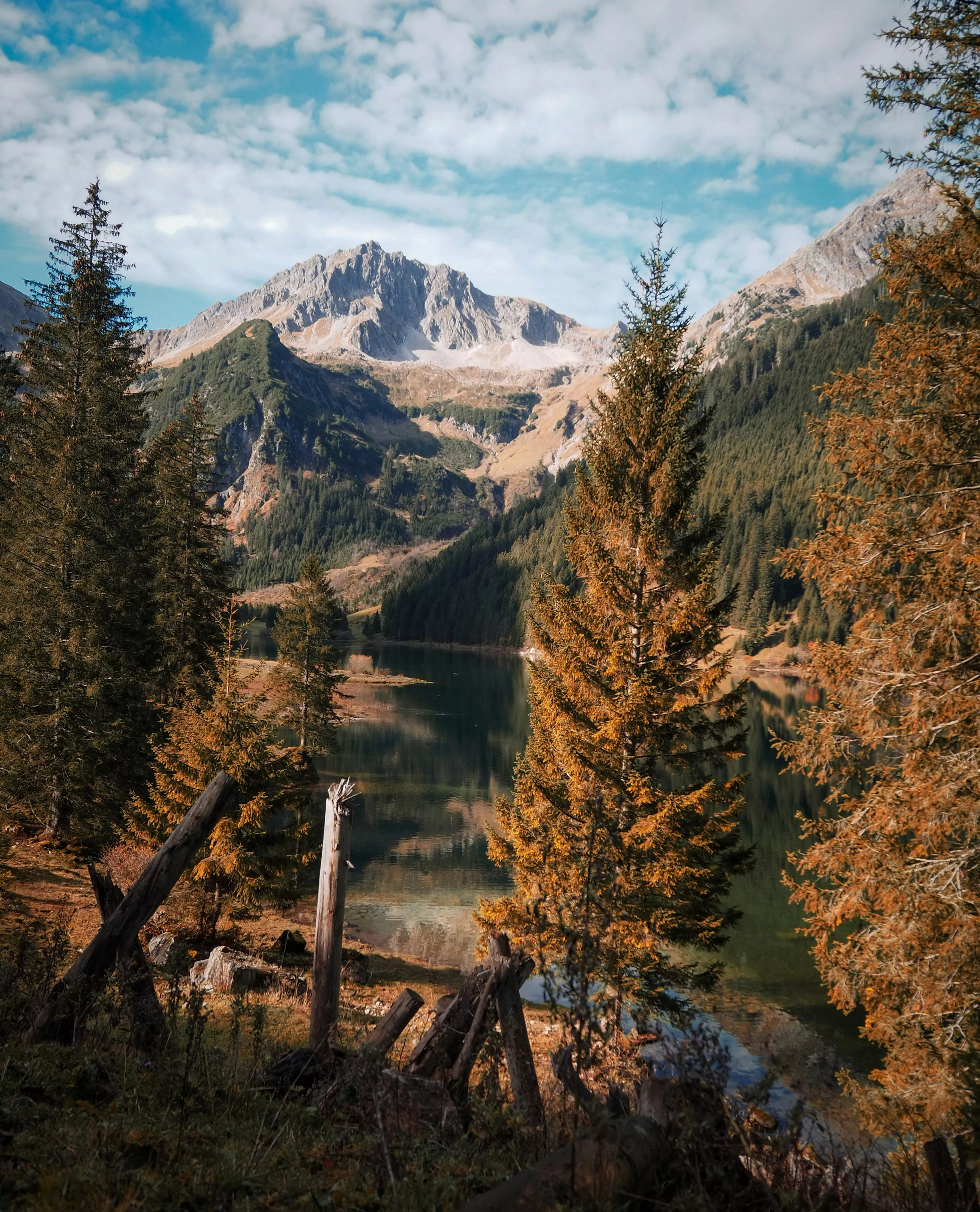 Forest around Lake in Mountains in Autumn · Free