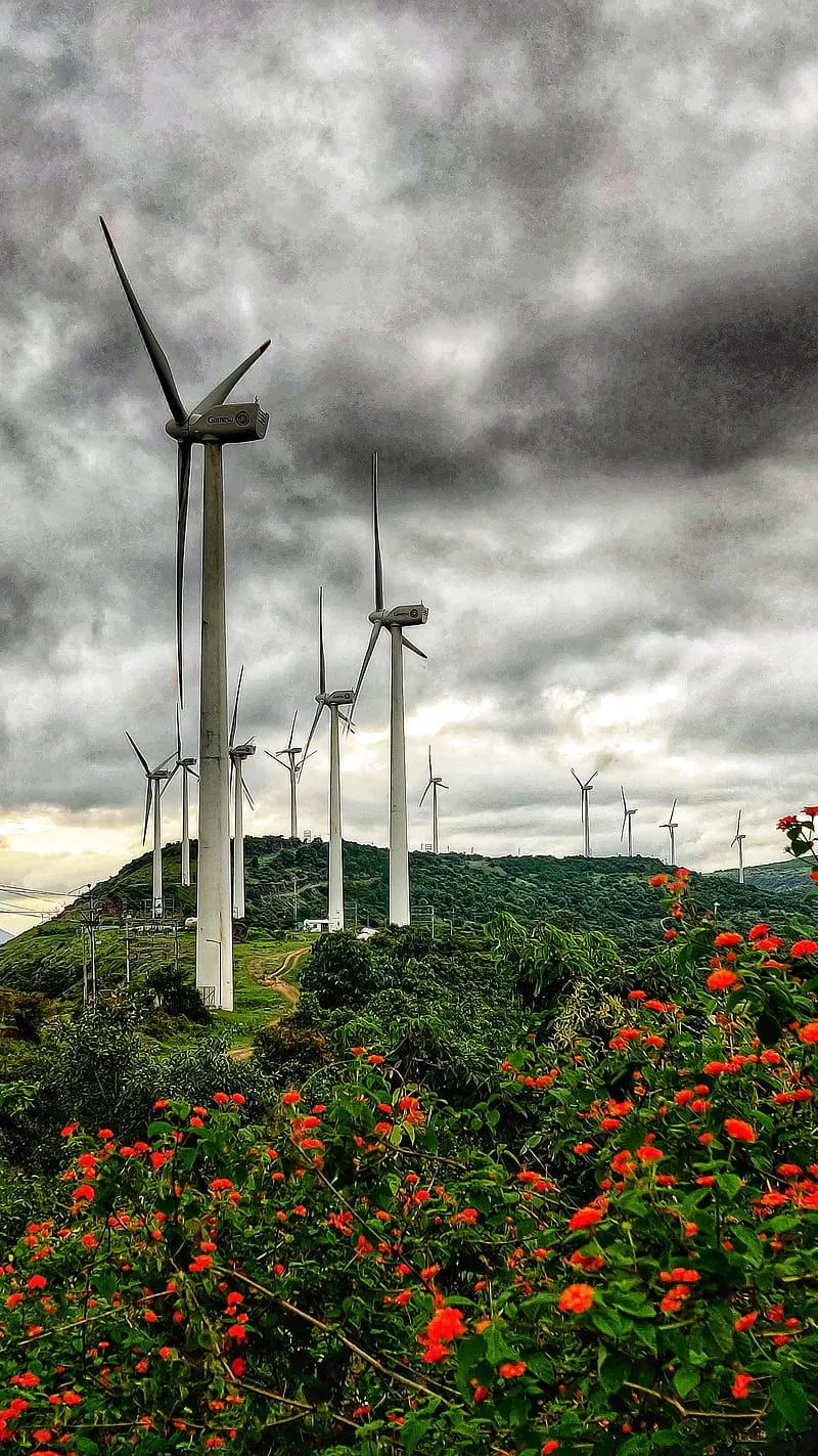 Wind Turbine, cross, flower, garden