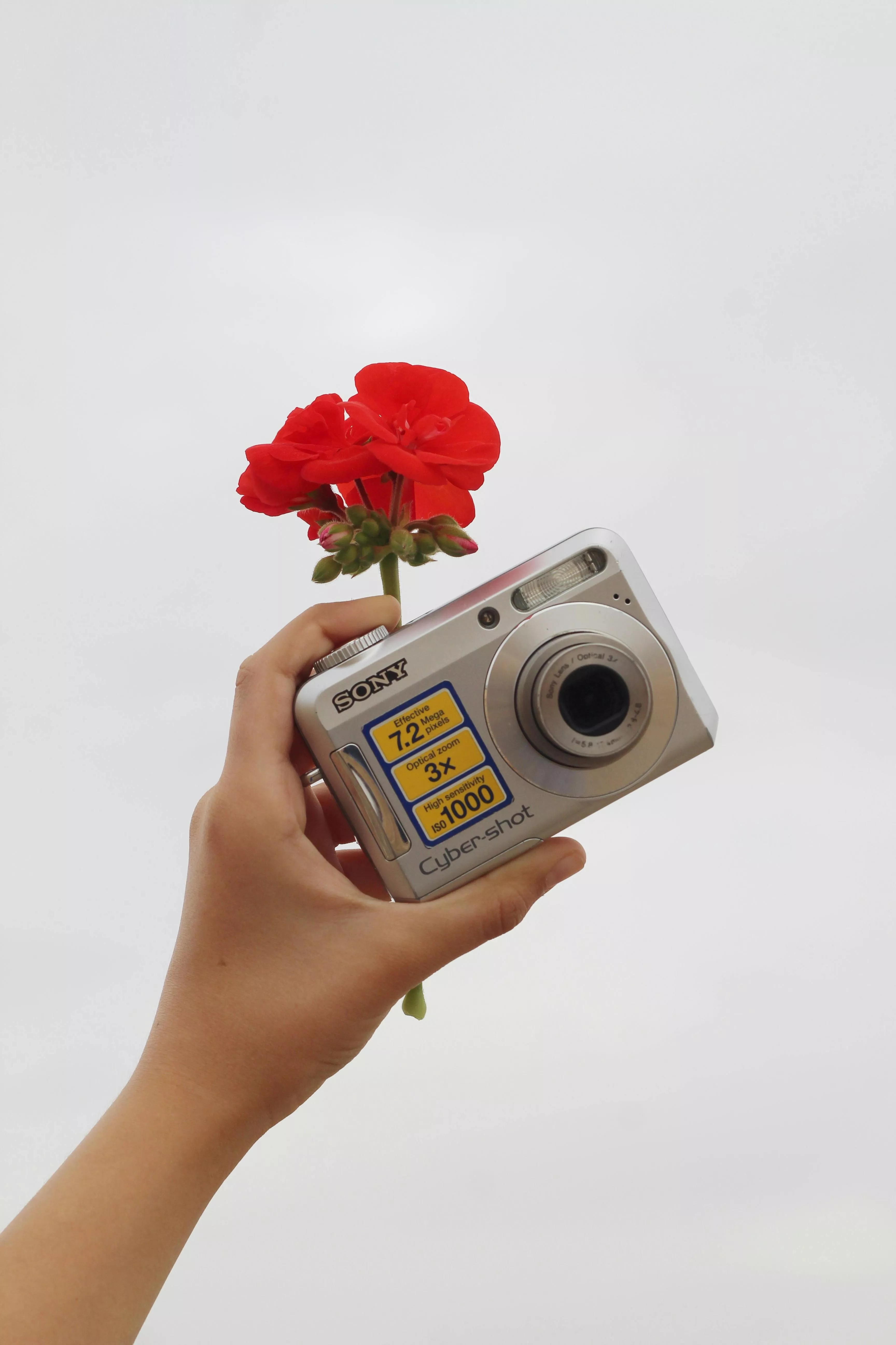 Vintage Aesthetic Photo, Download