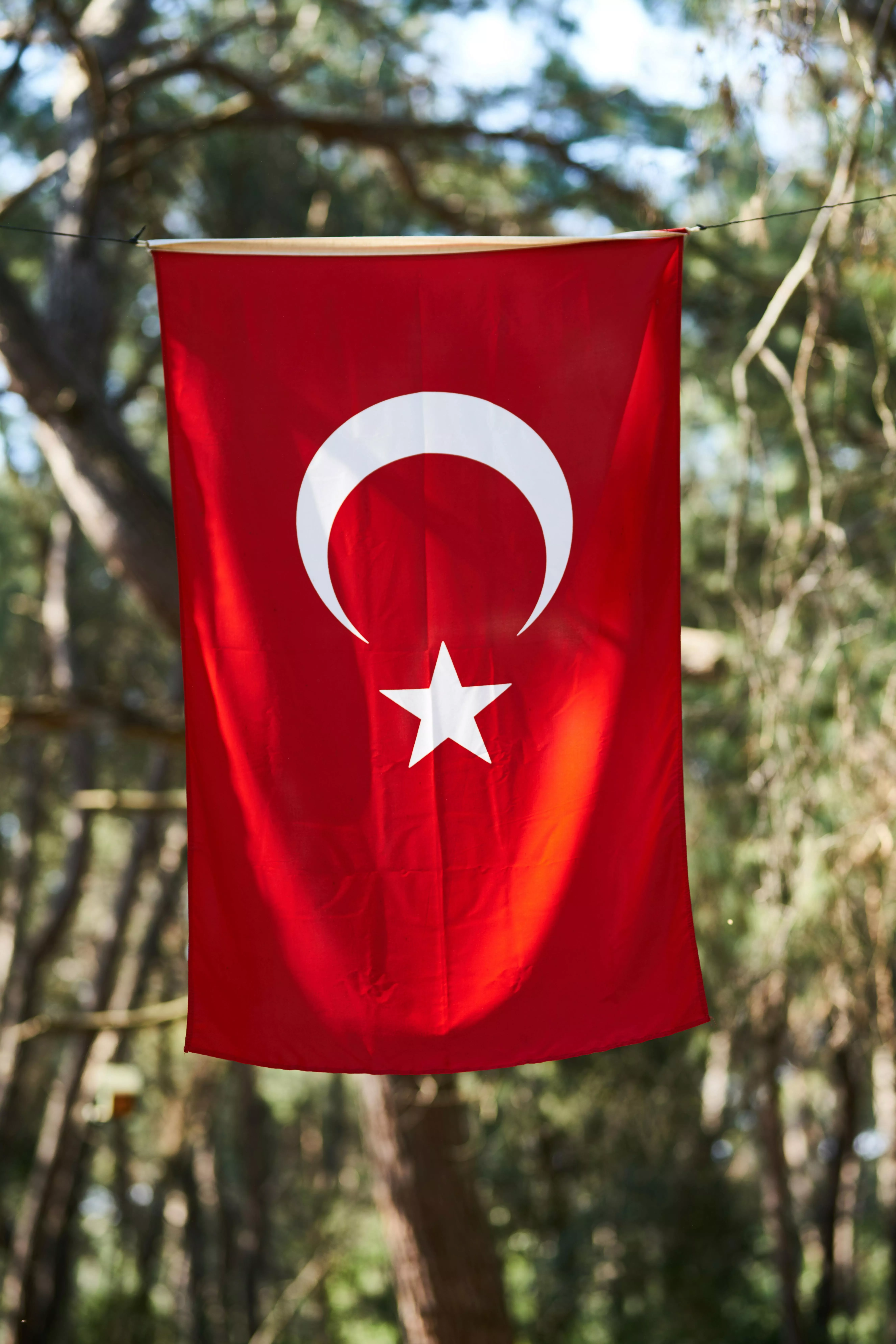 Photo Of Turkey Flag · Free