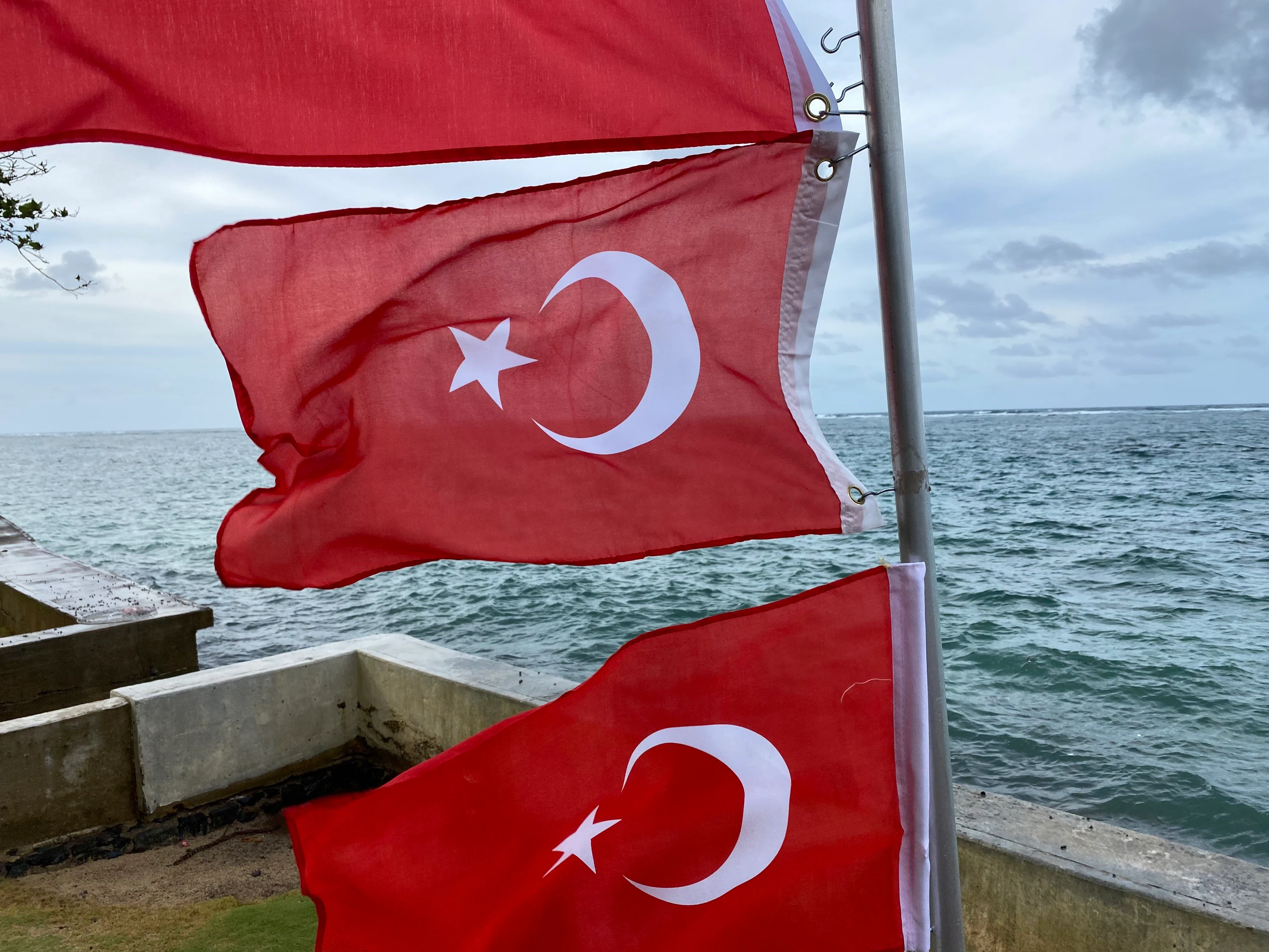 Turkey Flag