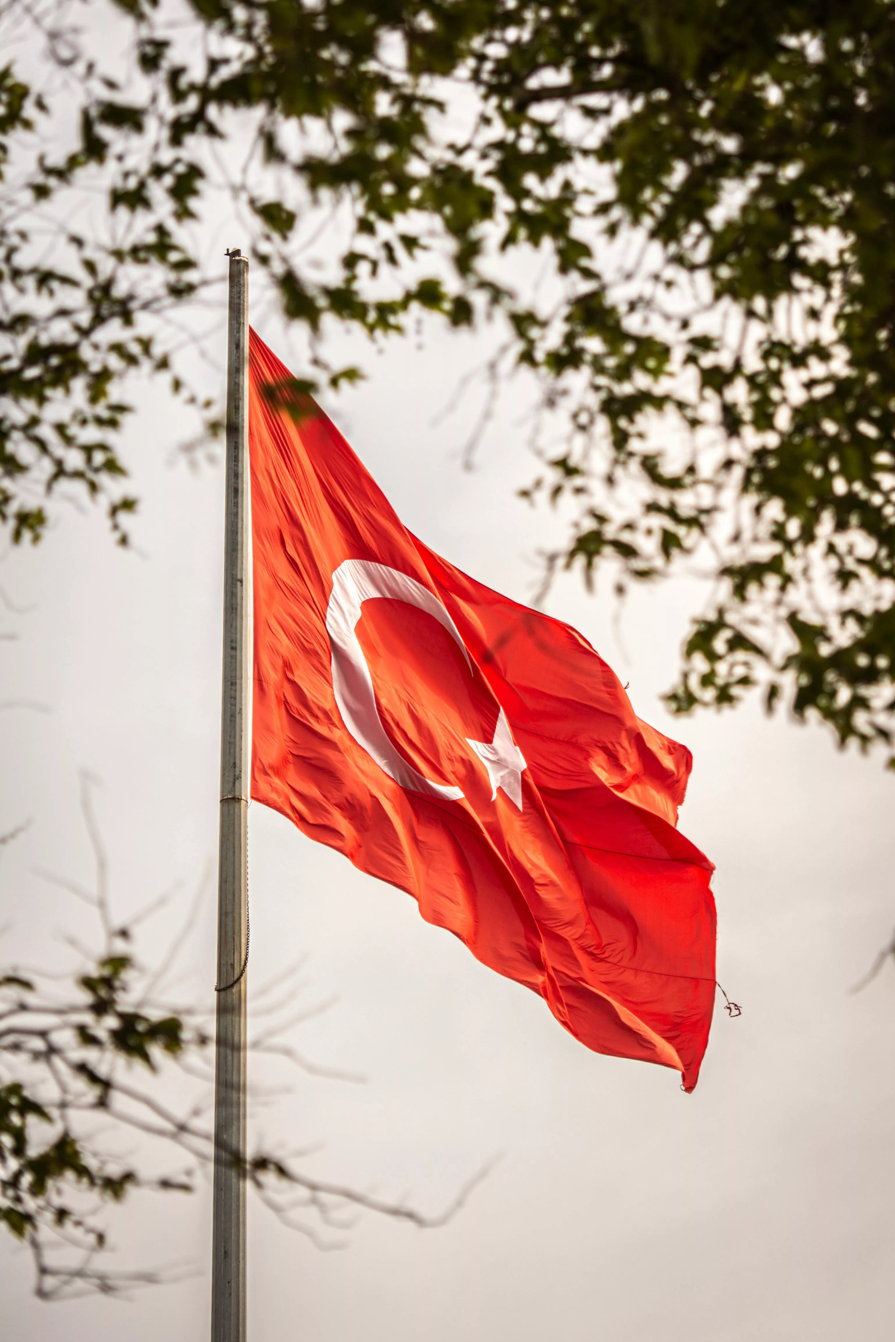 Turkey Flag Photo, Download The BEST