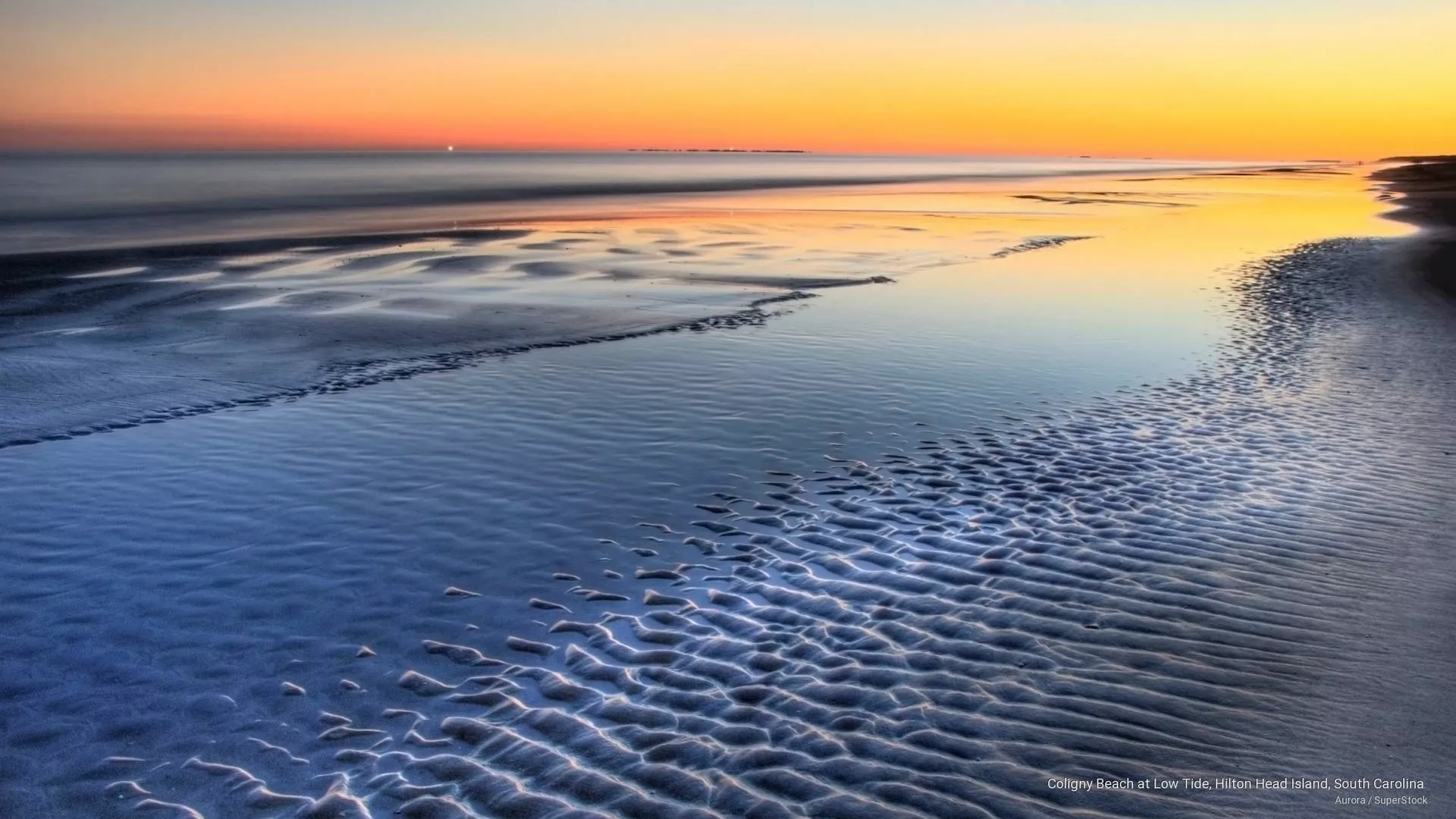 South Carolina Wallpaper